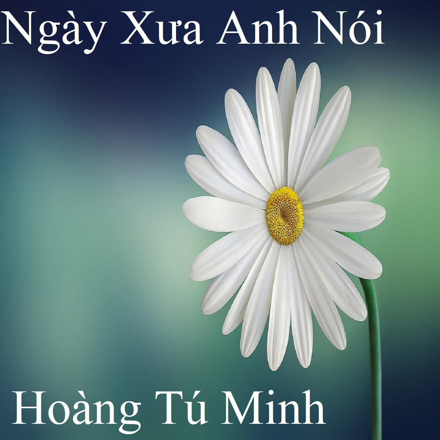 Постер альбома Ngày Xưa Anh Nói