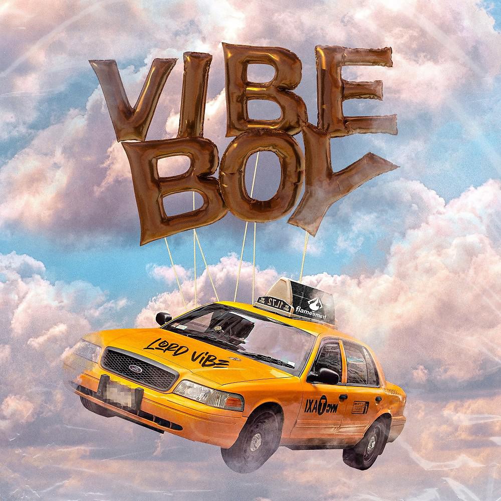 Постер альбома Vibe Boy