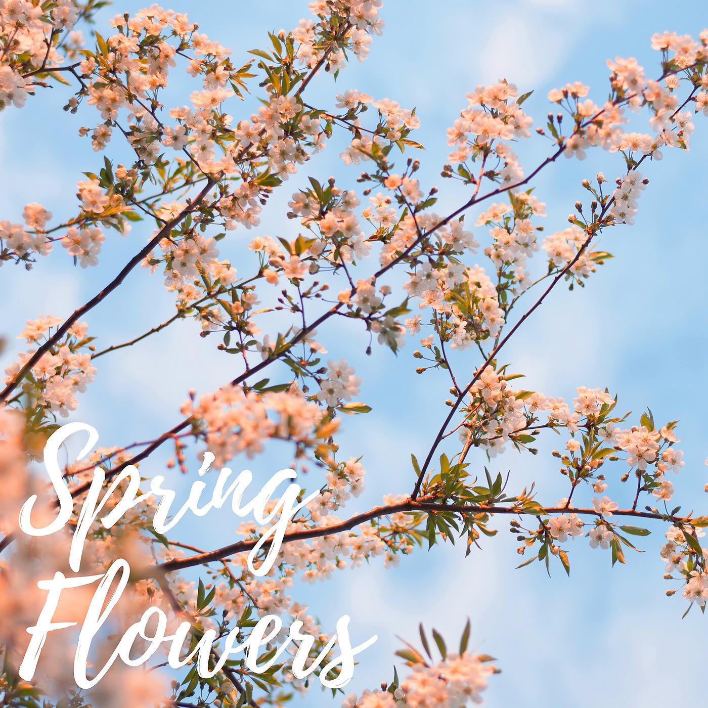 Постер альбома Spring Flowers