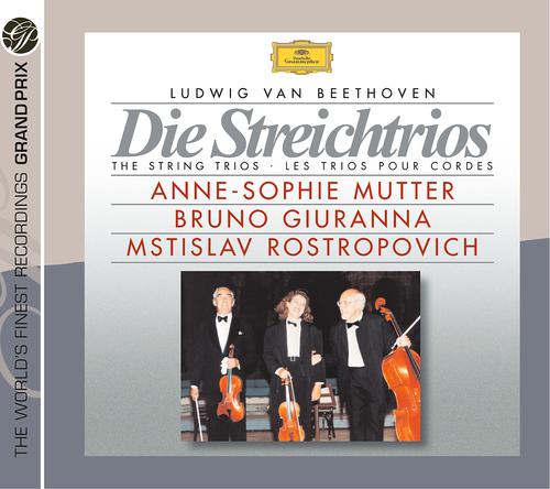 Постер альбома Beethoven: The String Trios