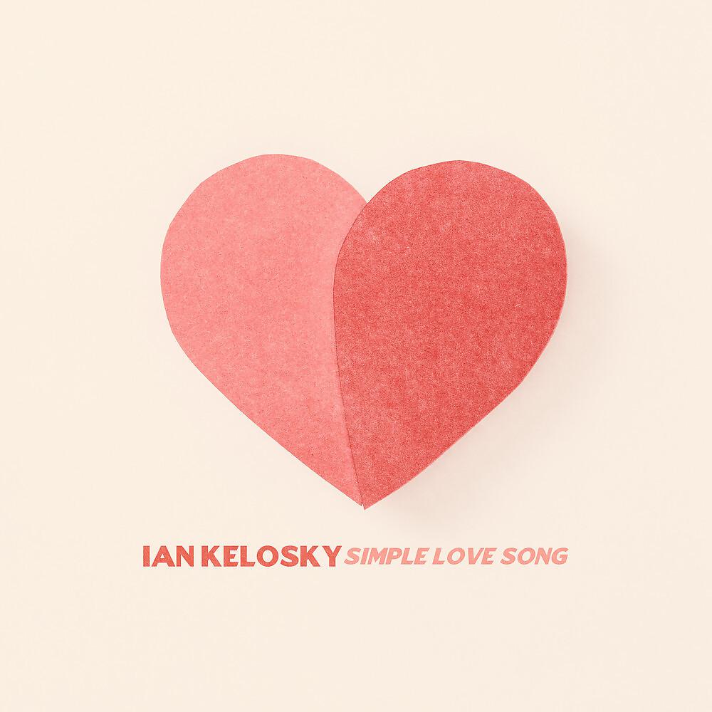Постер альбома Simple Love Song