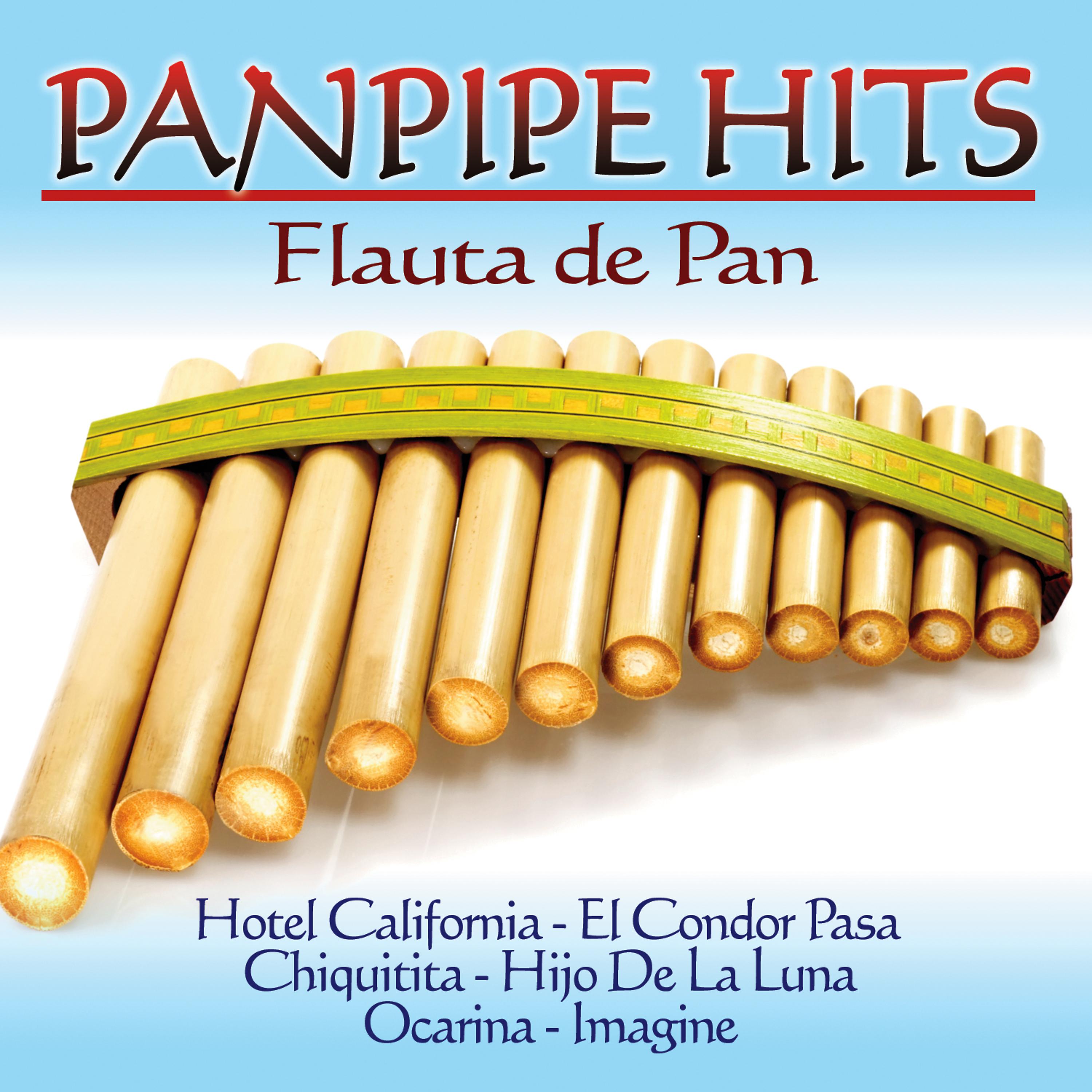 Постер альбома Panpipe Hits. Flauta de Pan