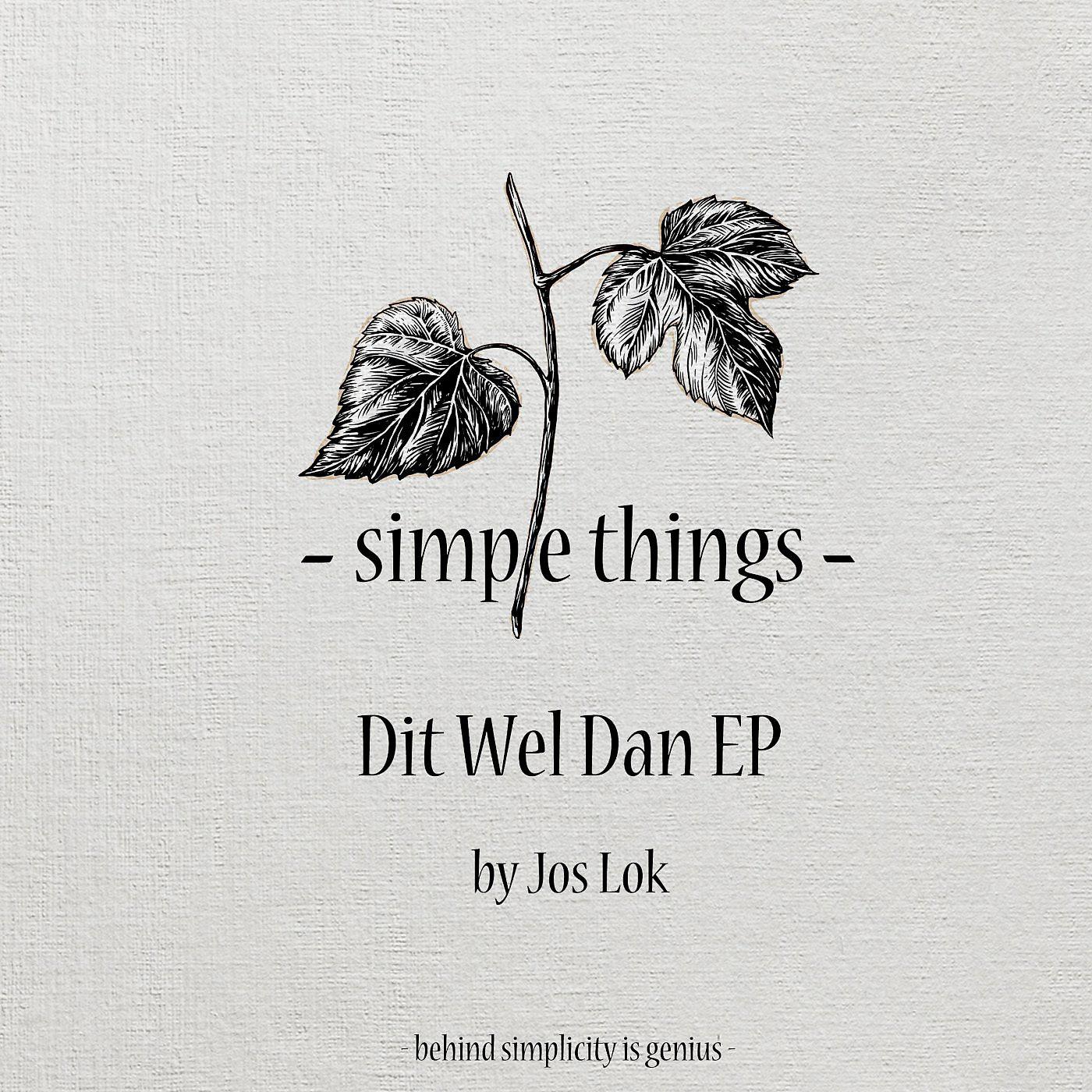 Постер альбома Dit Wel Dan