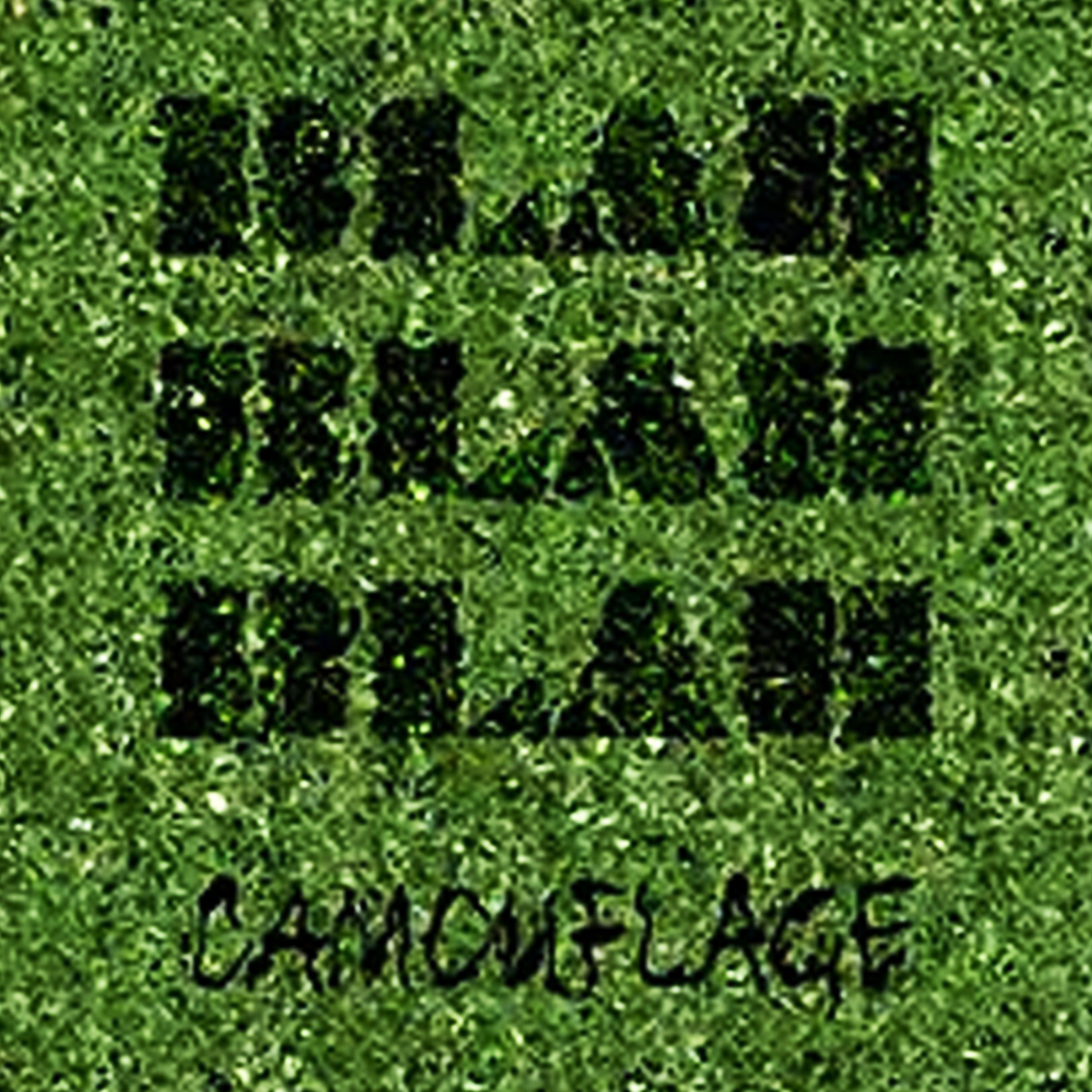 Постер альбома Camouflage