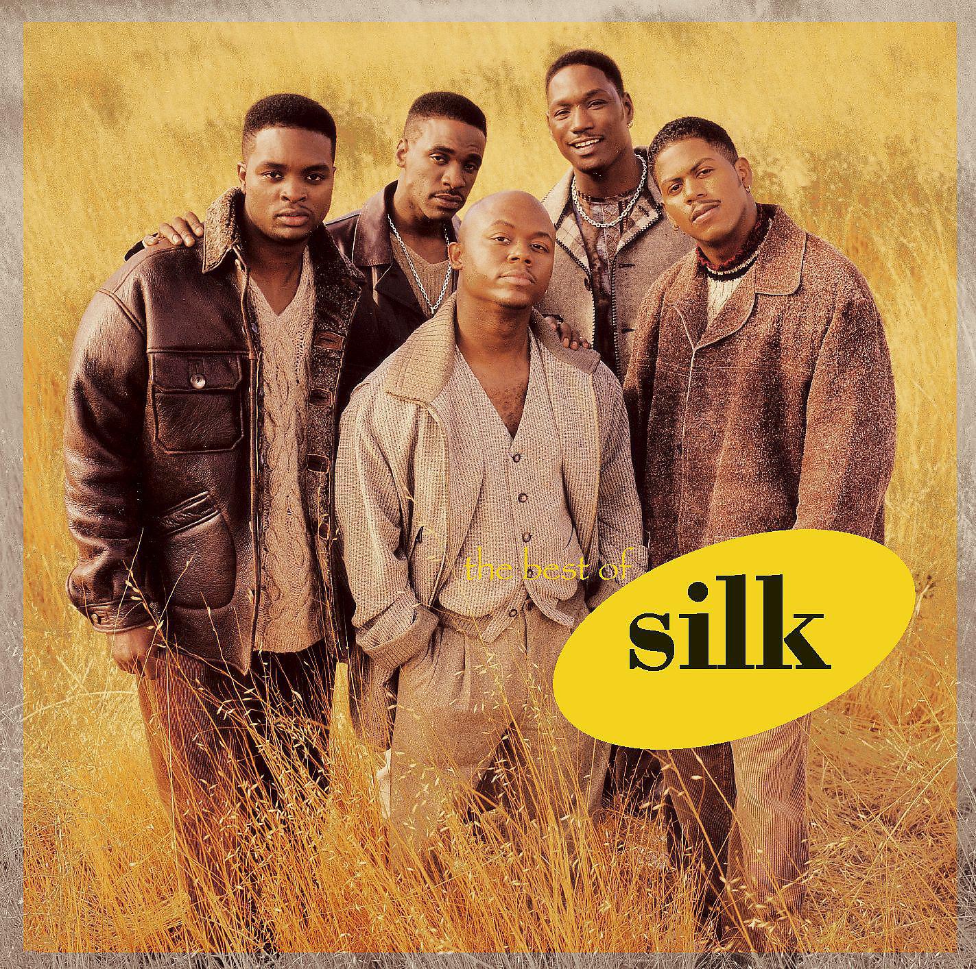 Постер альбома The Best of Silk