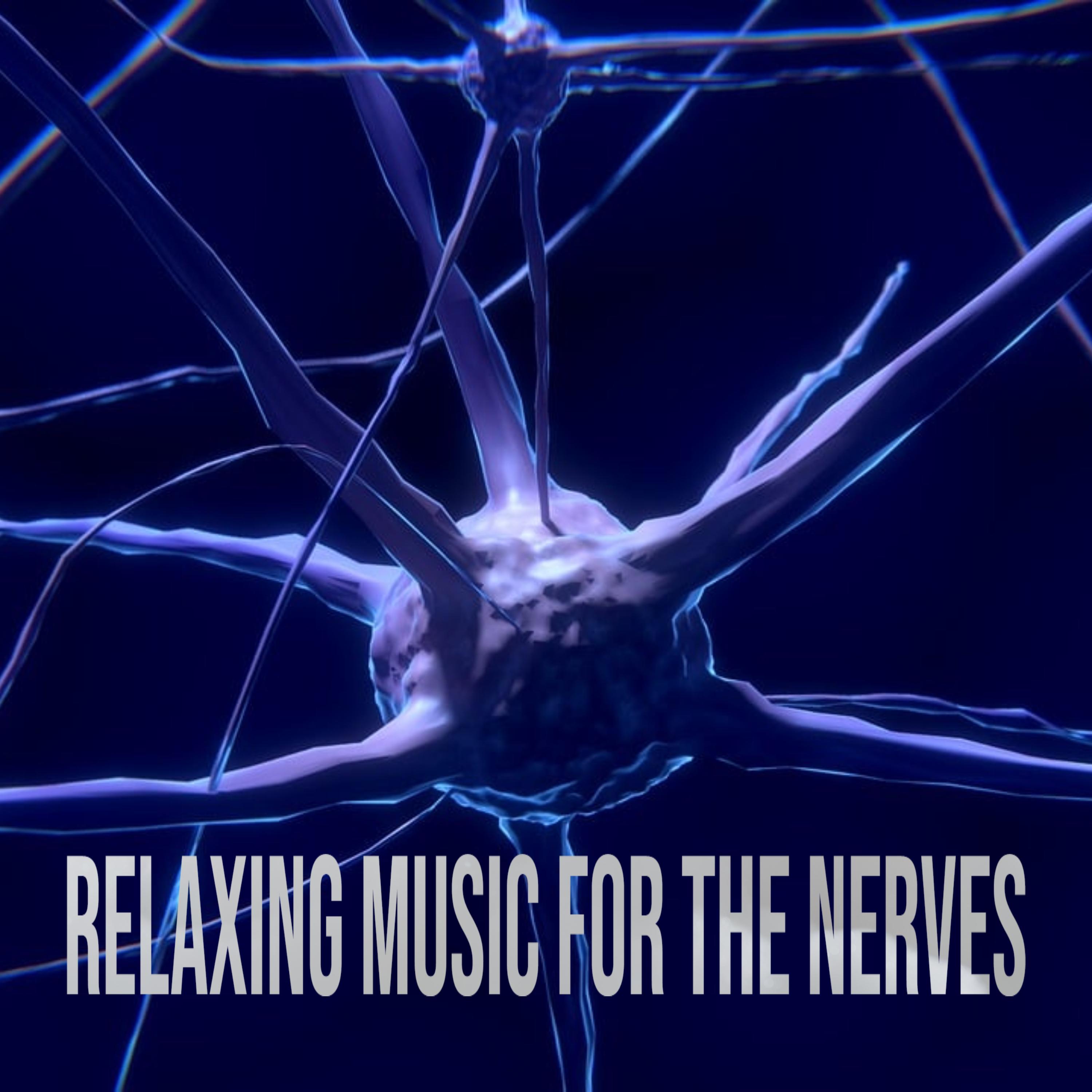 Постер альбома Relaxing music for the nerves