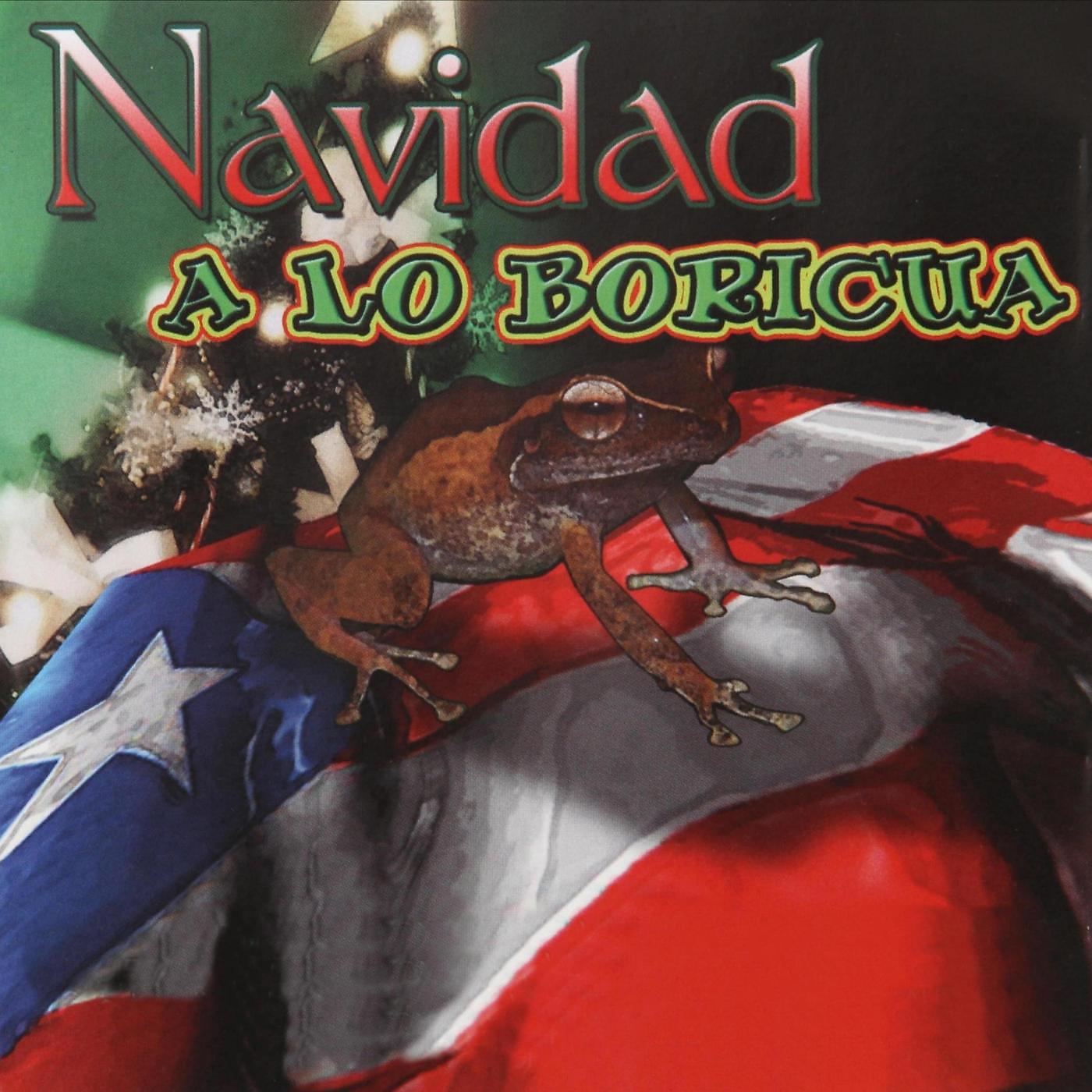 Постер альбома Navidad a Lo Boricua