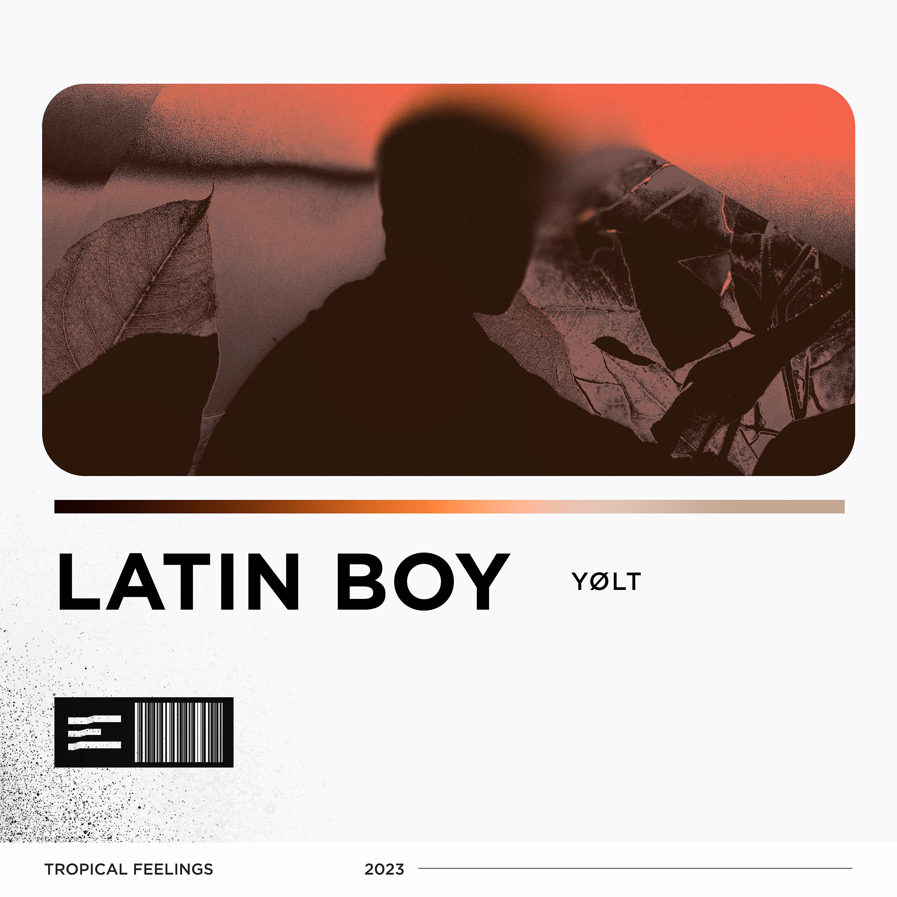 Постер альбома Latin Boy