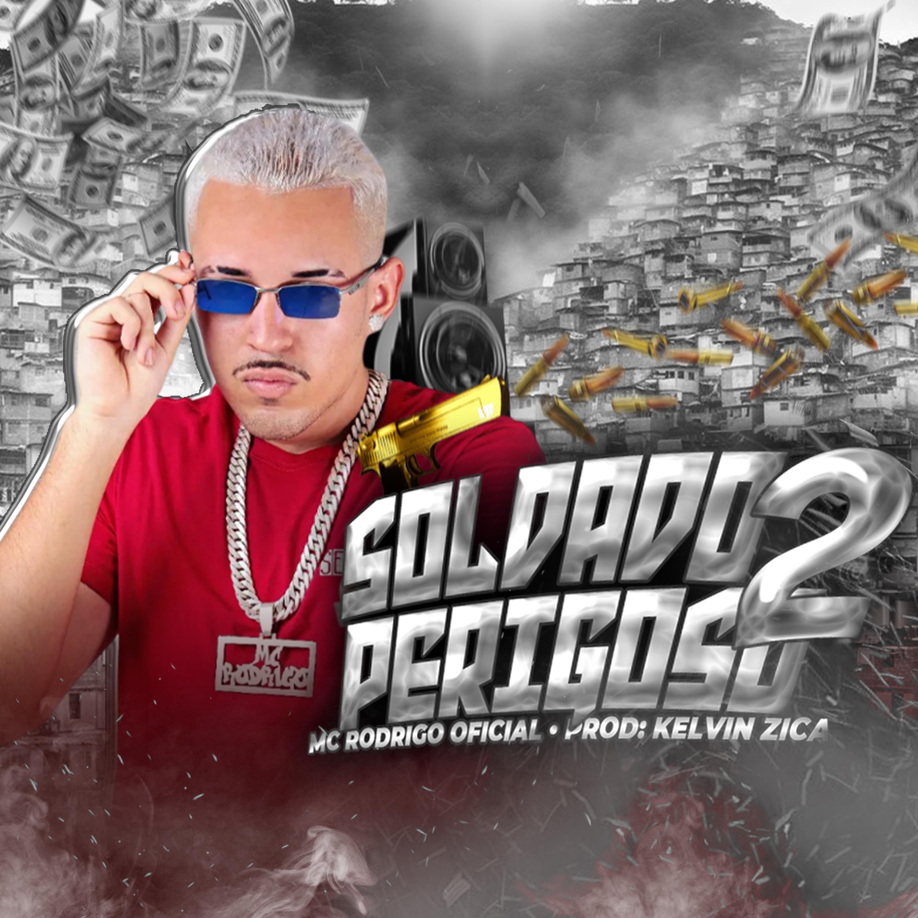Постер альбома Soldado Perigoso 2