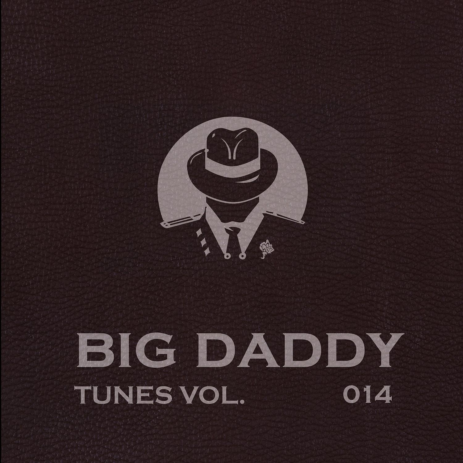 Постер альбома Big Daddy Tunes, Vol.014