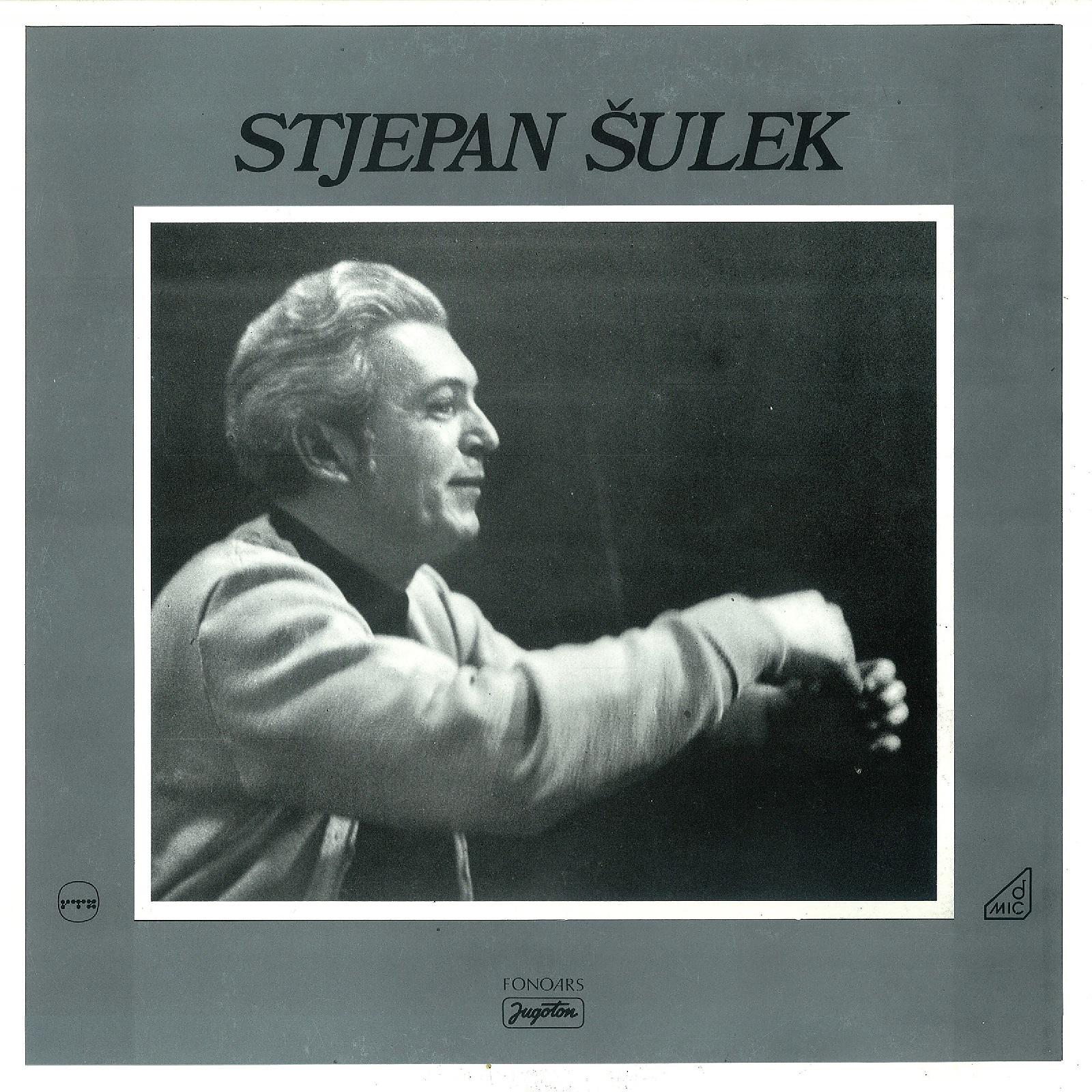 Постер альбома Stjepan Šulek: Sixth Symphony - 75 for 75