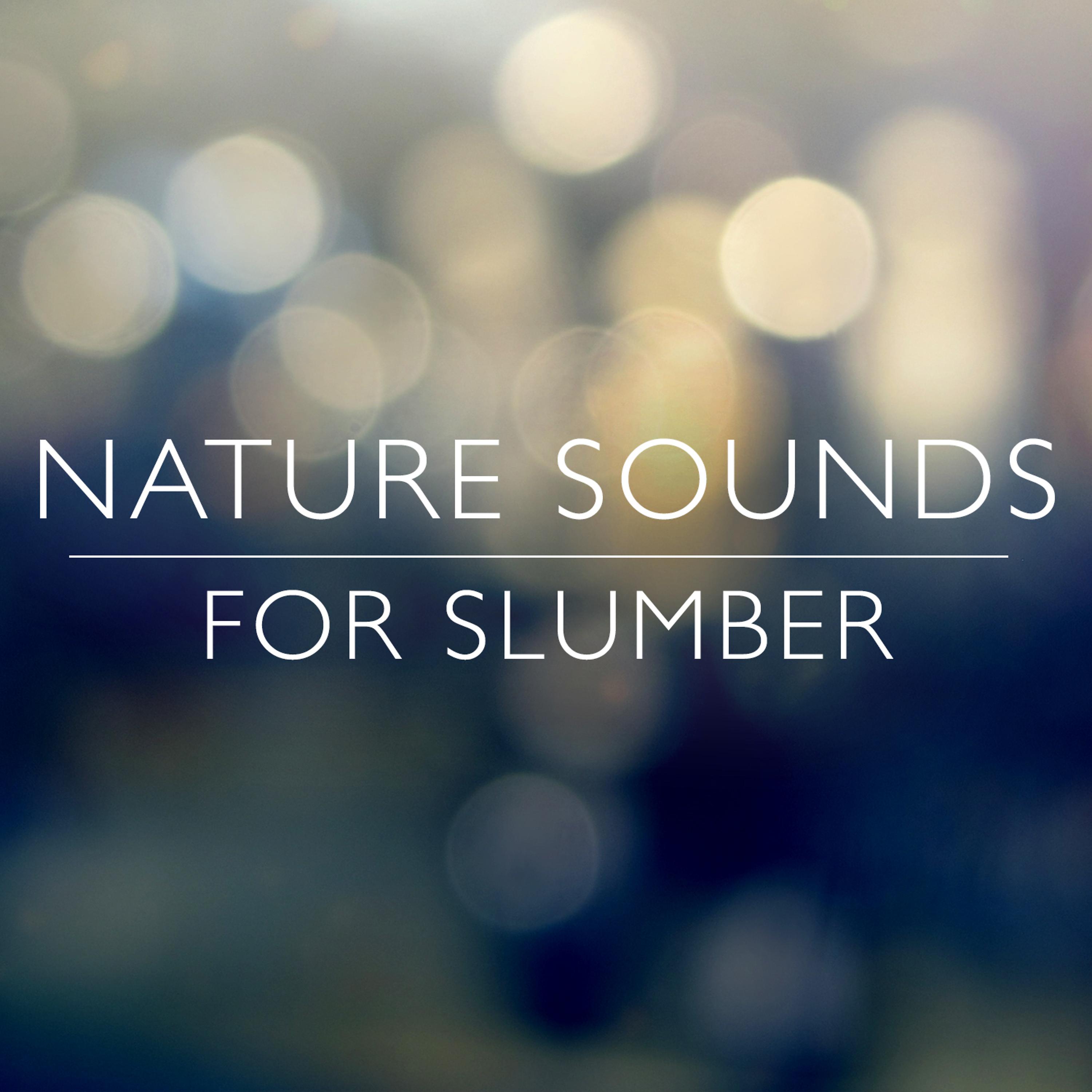 Постер альбома Nature Sounds for Slumber