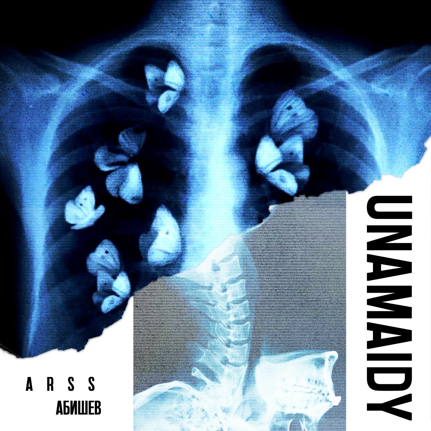 Постер альбома UNAMAIDY
