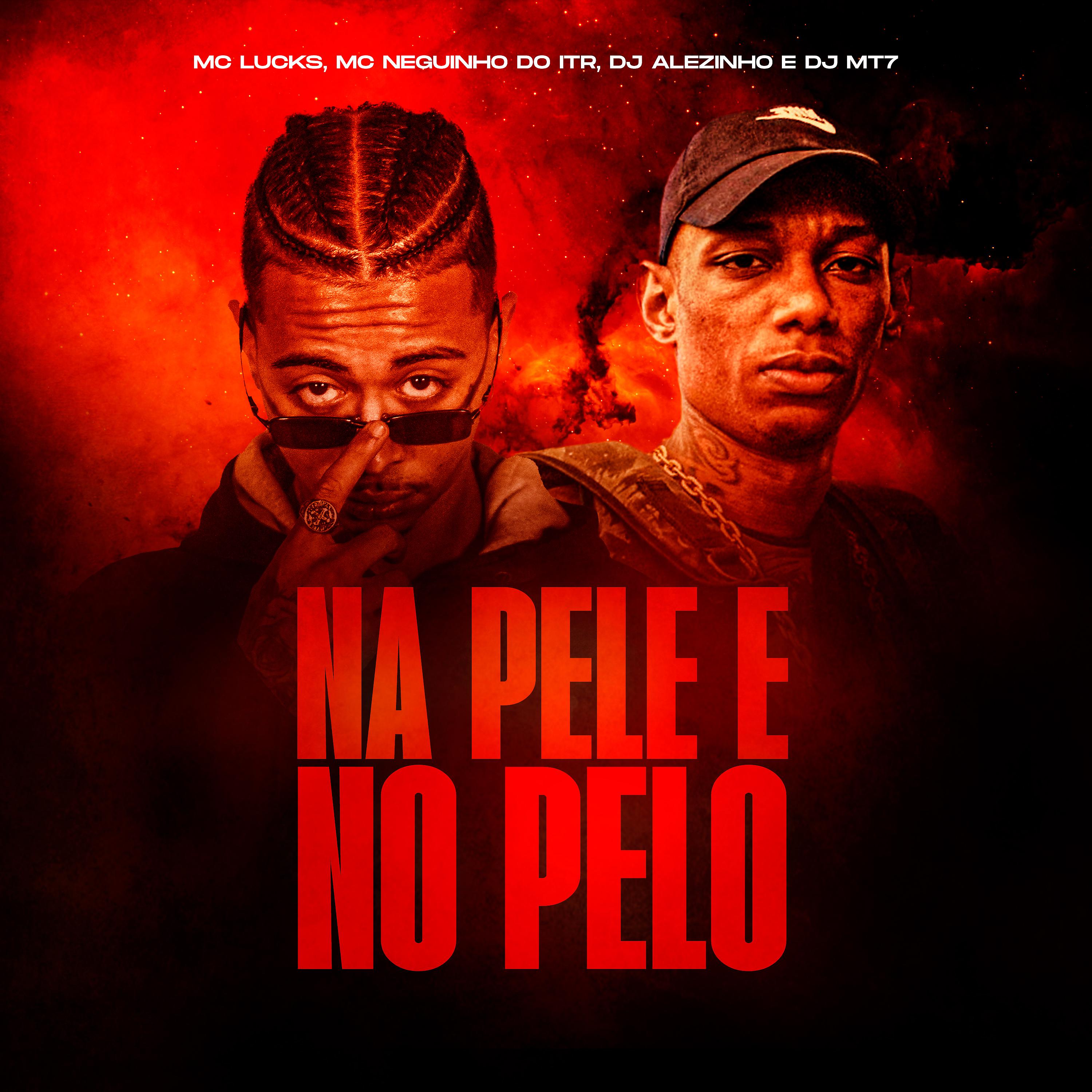 Постер альбома Na Pele e No Pelo