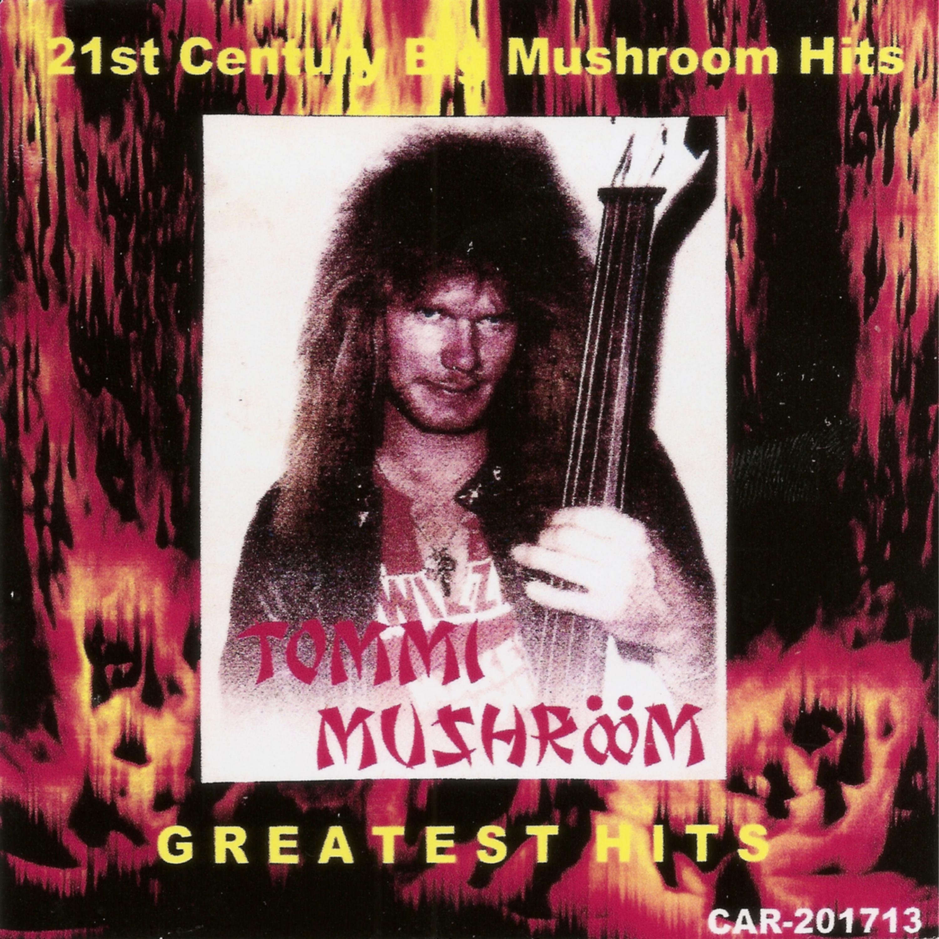 Постер альбома 21st Century Big Mushroom Hits