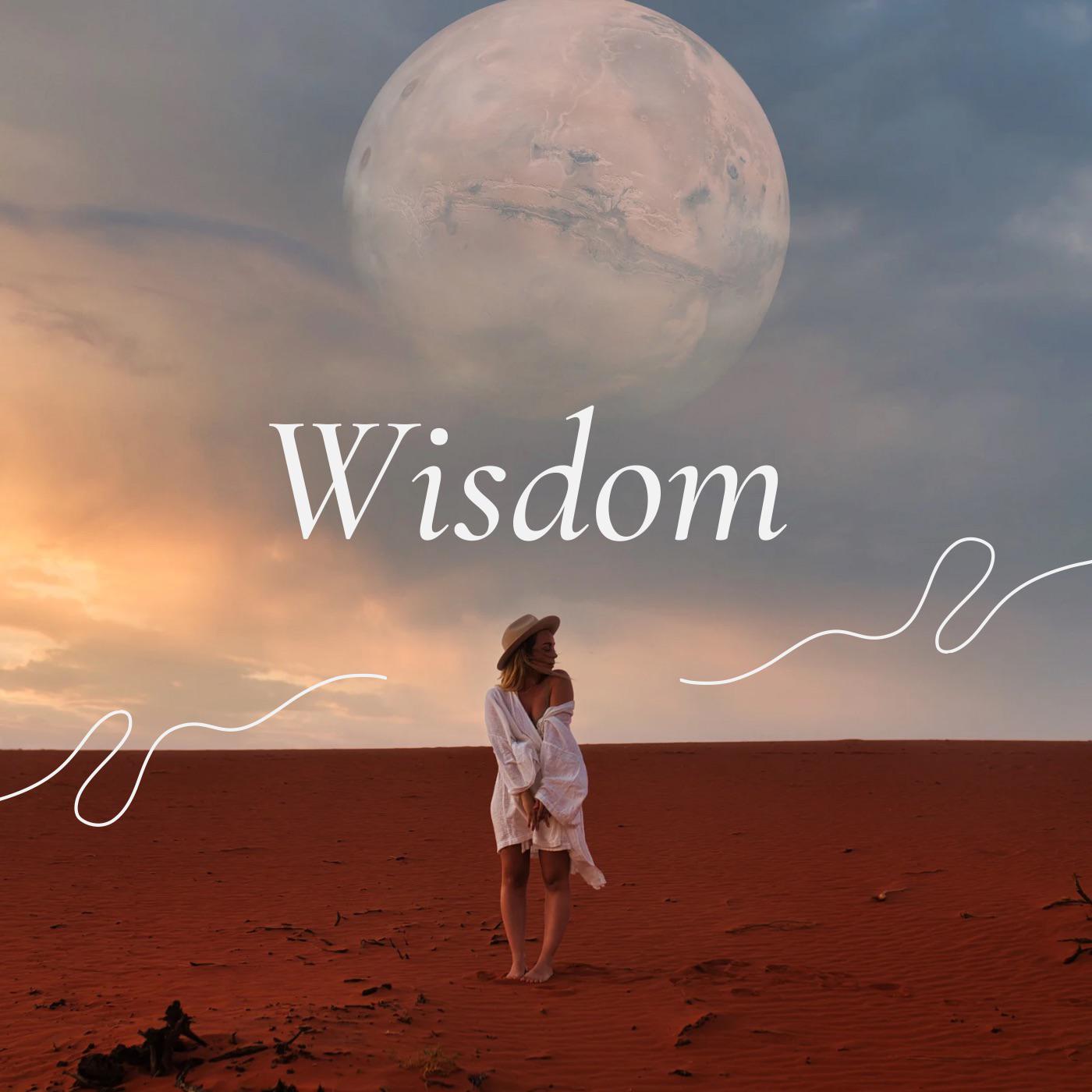 Постер альбома Wisdom
