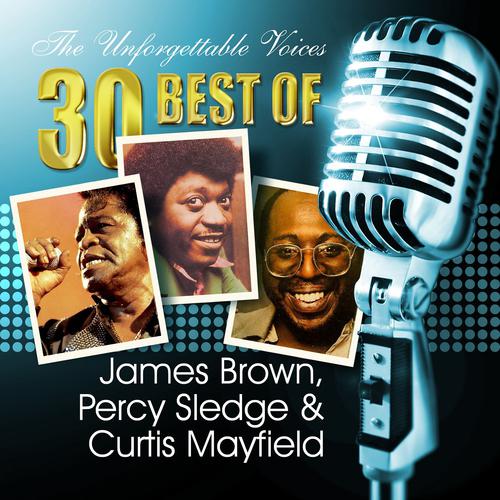 Постер альбома The Unforgettable Voices: 30 Best of James Brown, Percy Sledge & Curtis Mayfield
