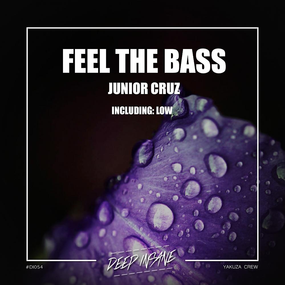 Постер альбома Feel The Bass
