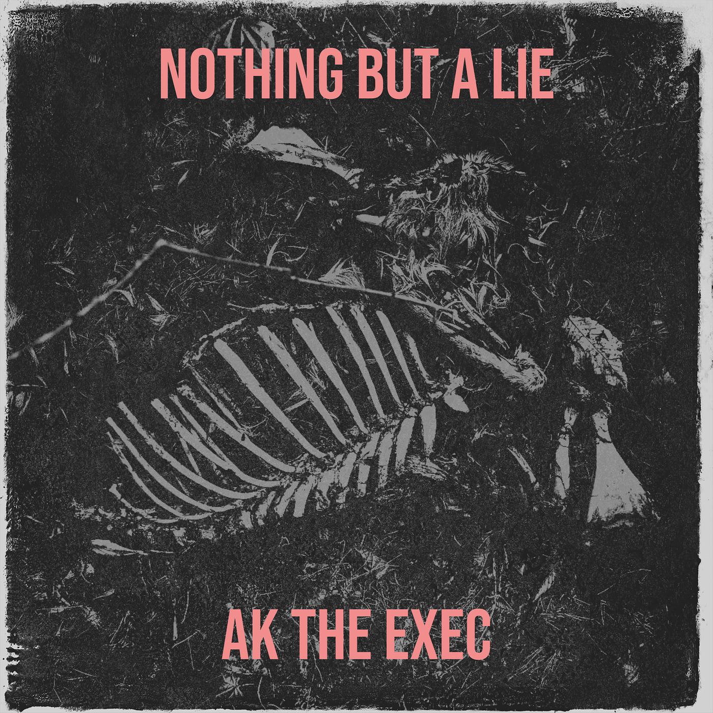 Постер альбома Nothing but a Lie