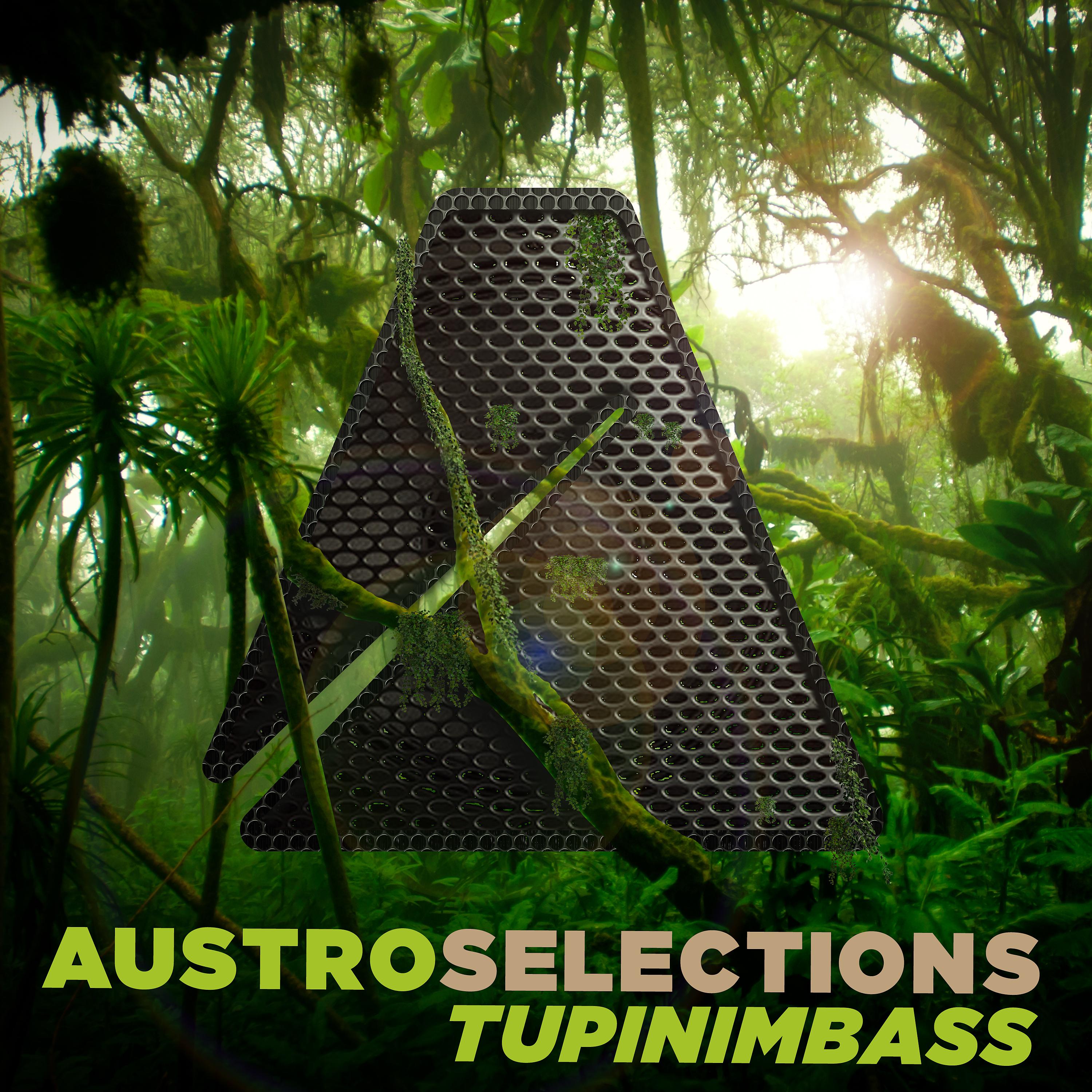 Постер альбома Austro Selections: Tupinimbass