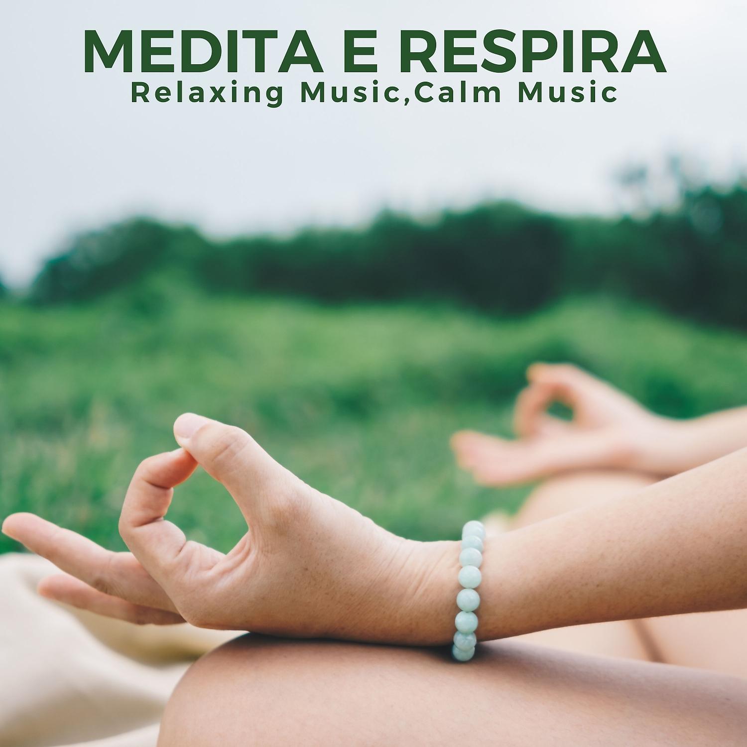 Постер альбома Medita e respira