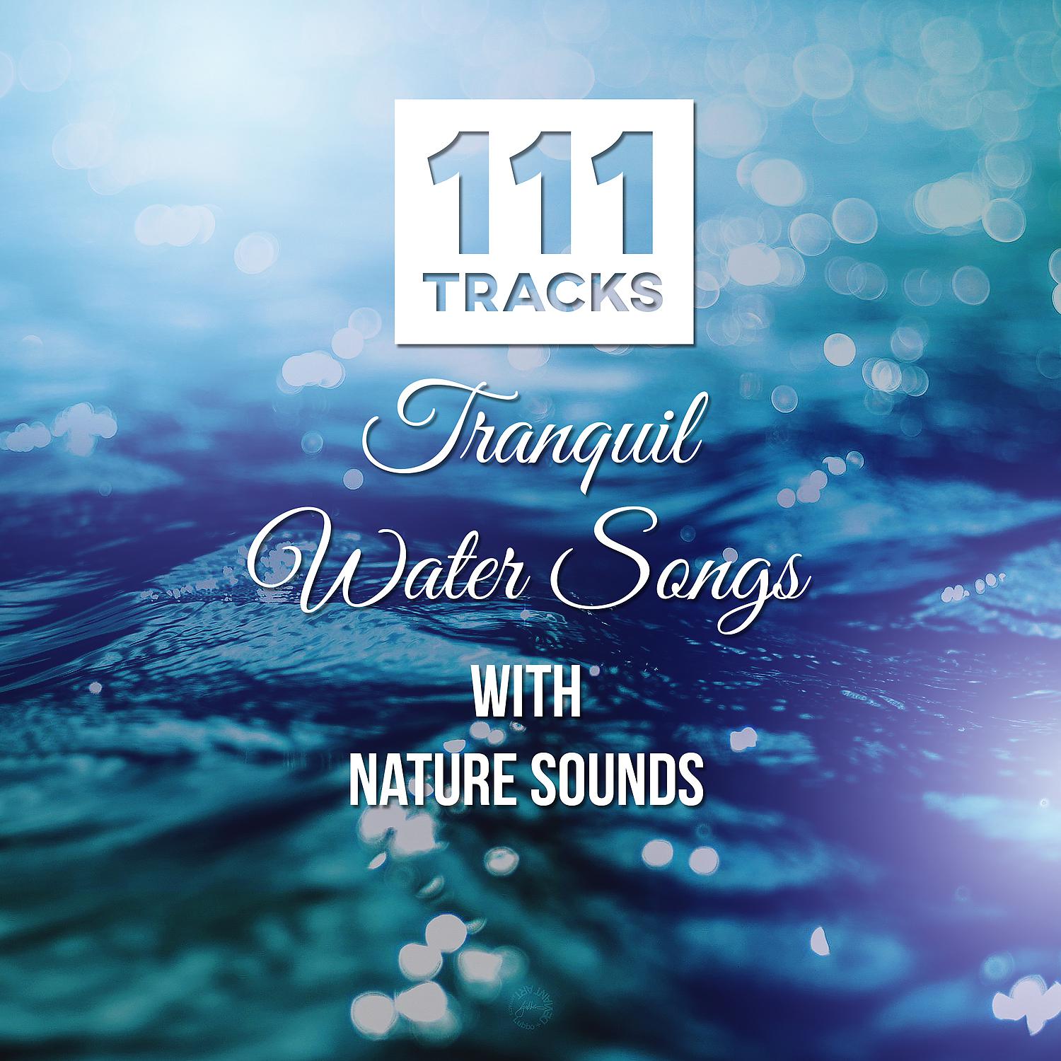 Постер альбома 111 Tracks: Tranquil Water Songs with Nature Sounds: Healing Meditations, Music for Yoga, Reiki, Spa, Massage, New Age - Serenity Instrumental Music