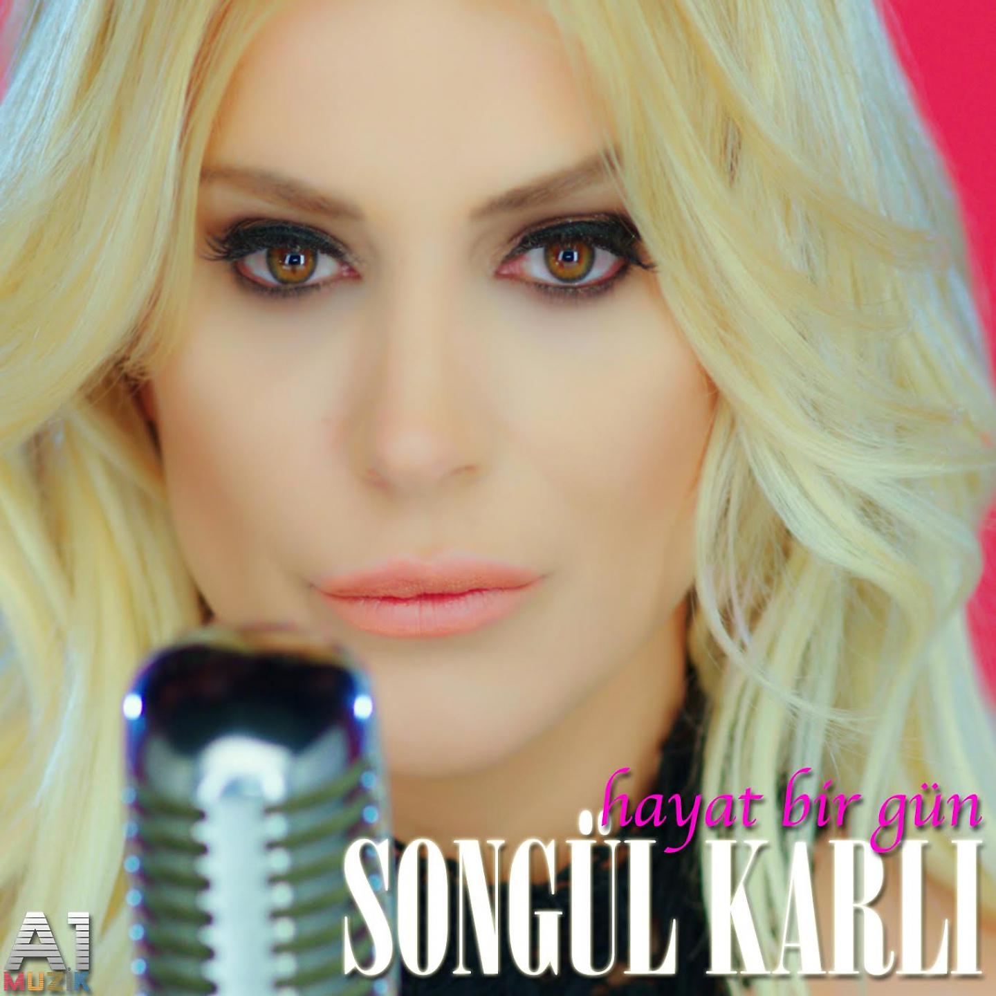 Постер альбома Hayat Bir Gün