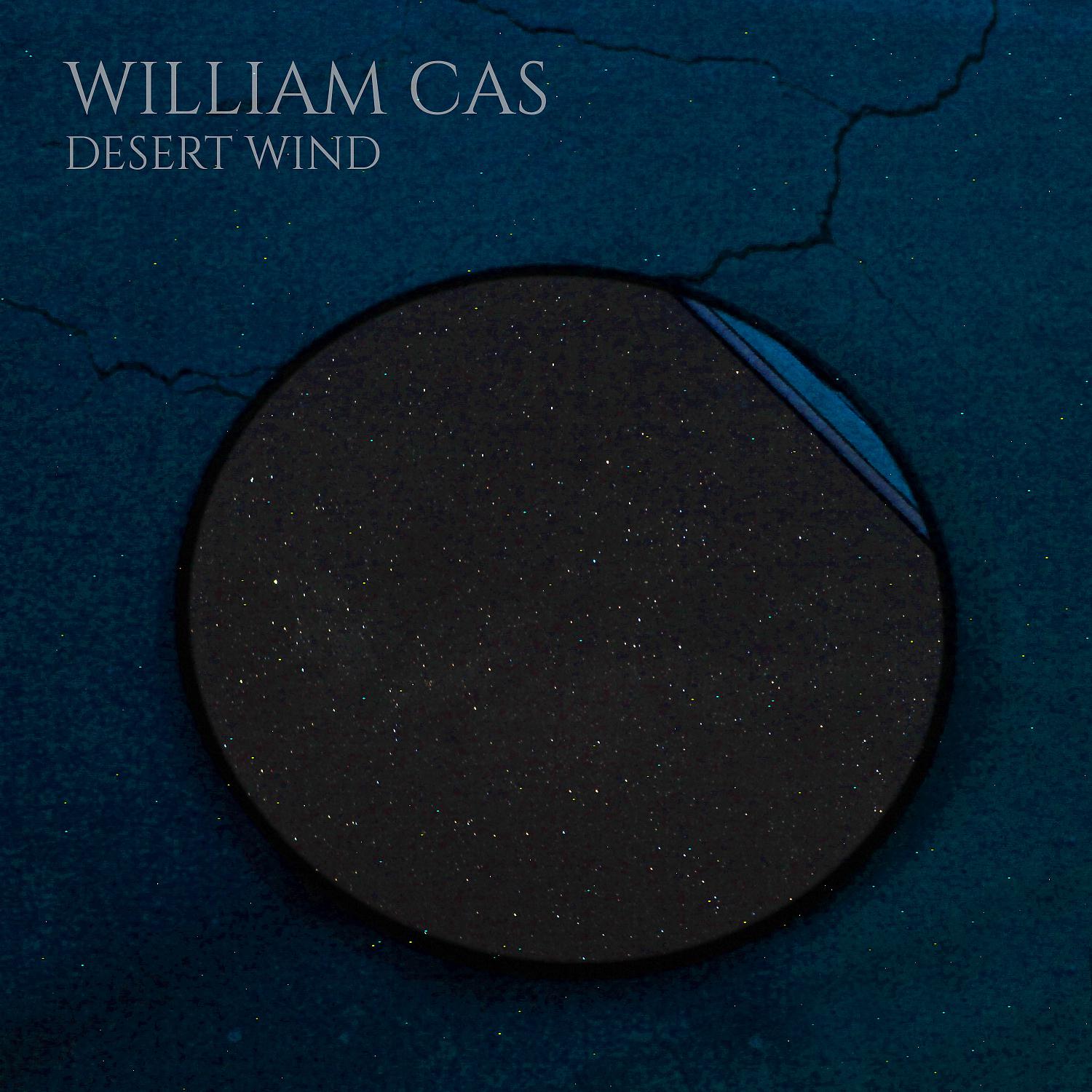 Постер альбома Desert Wind