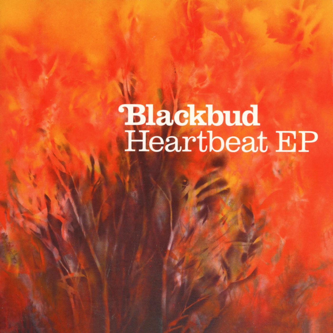 Постер альбома Heartbeat EP