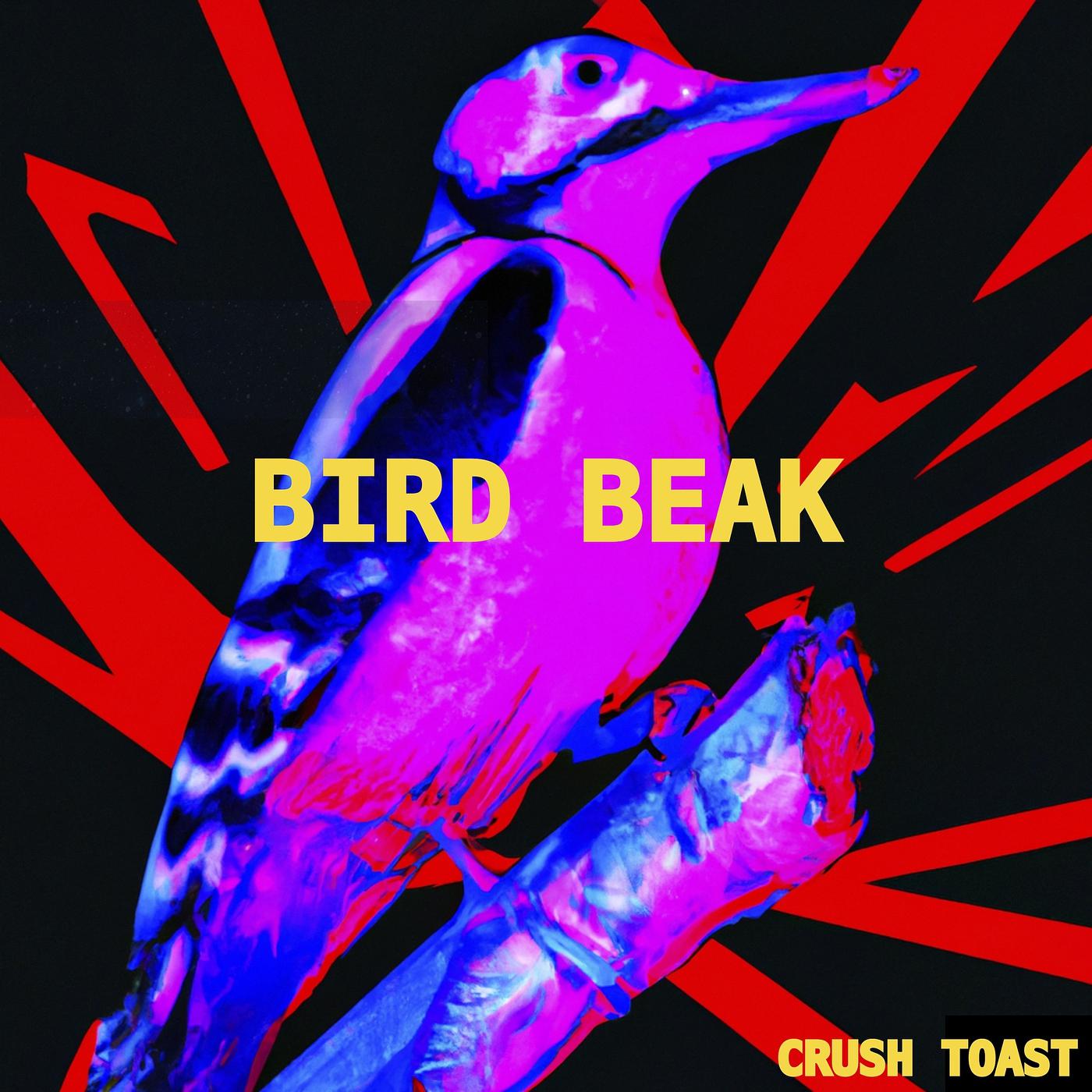 Постер альбома Bird Beak