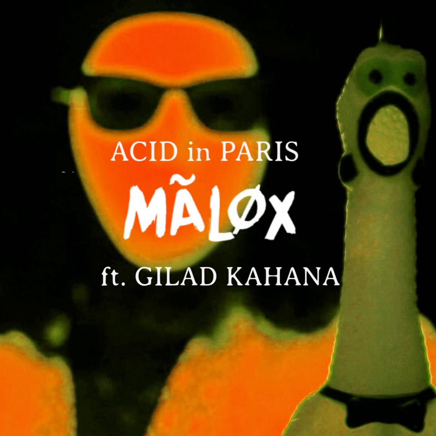 Постер альбома Acid in Paris