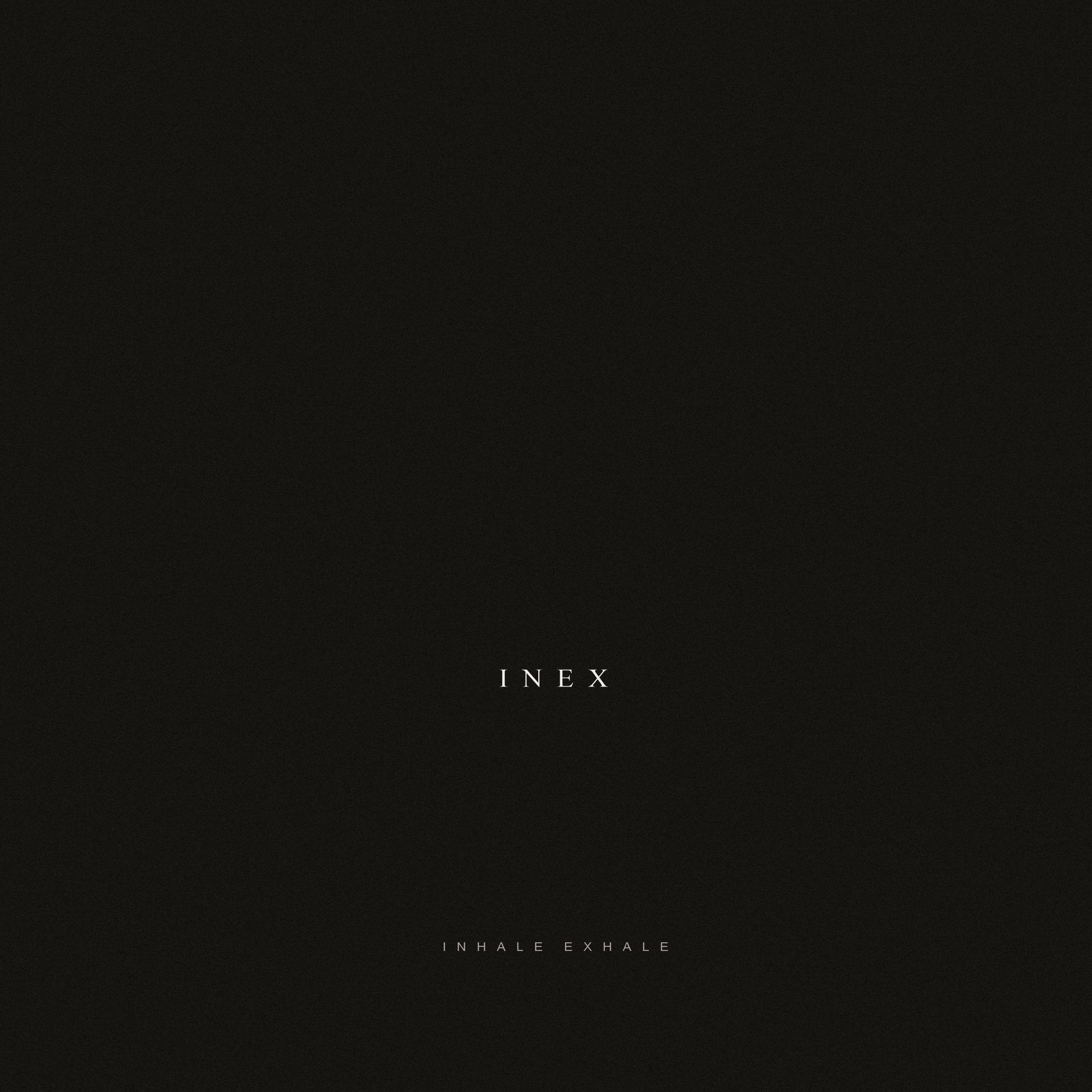 Постер альбома Inex