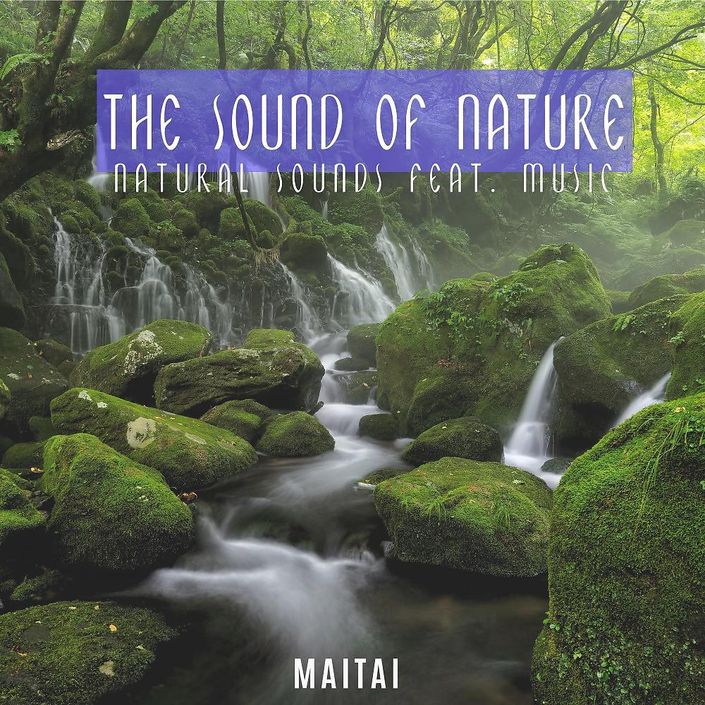 Постер альбома The Sound of Nature (Natural Sounds)