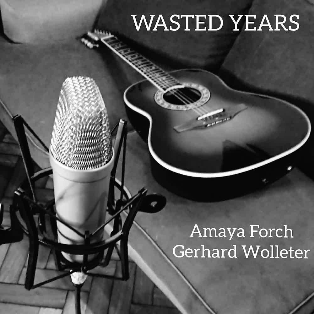 Постер альбома Wasted Years (Cover)