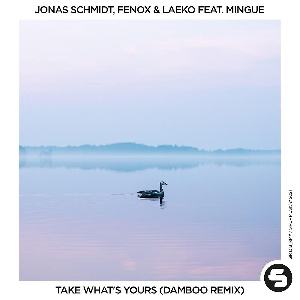 Постер альбома Take What's Yours (Damboo Remix)