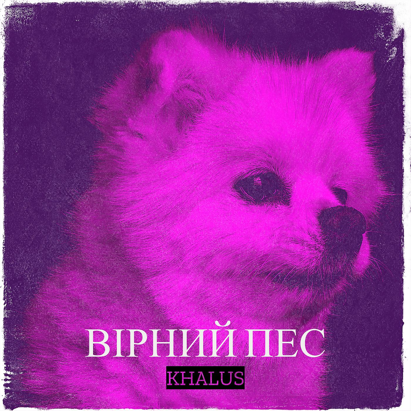 Постер альбома Вірний пес
