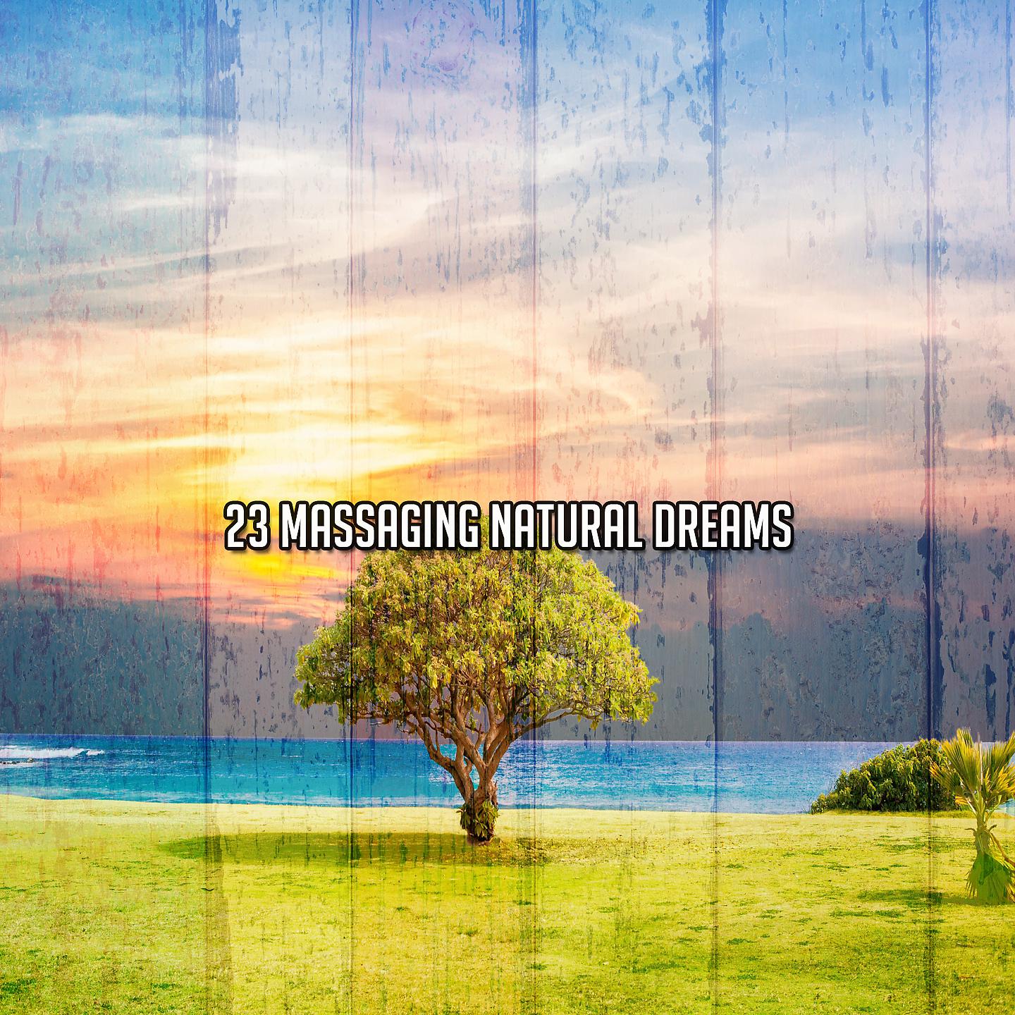Постер альбома 23 Массаж естественных снов