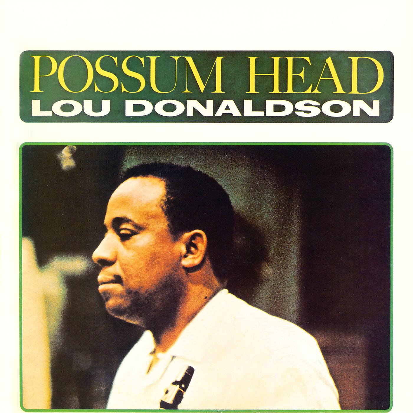 Постер альбома Possum Head