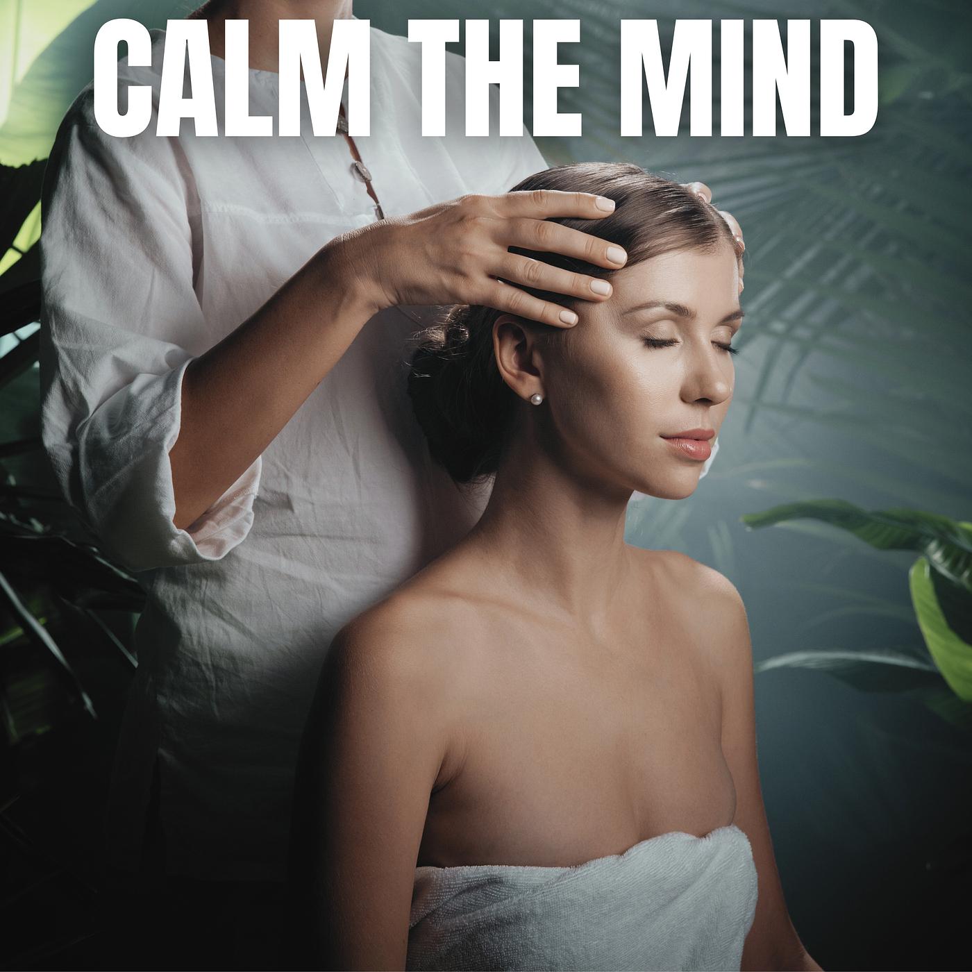 Постер альбома Calm the Mind