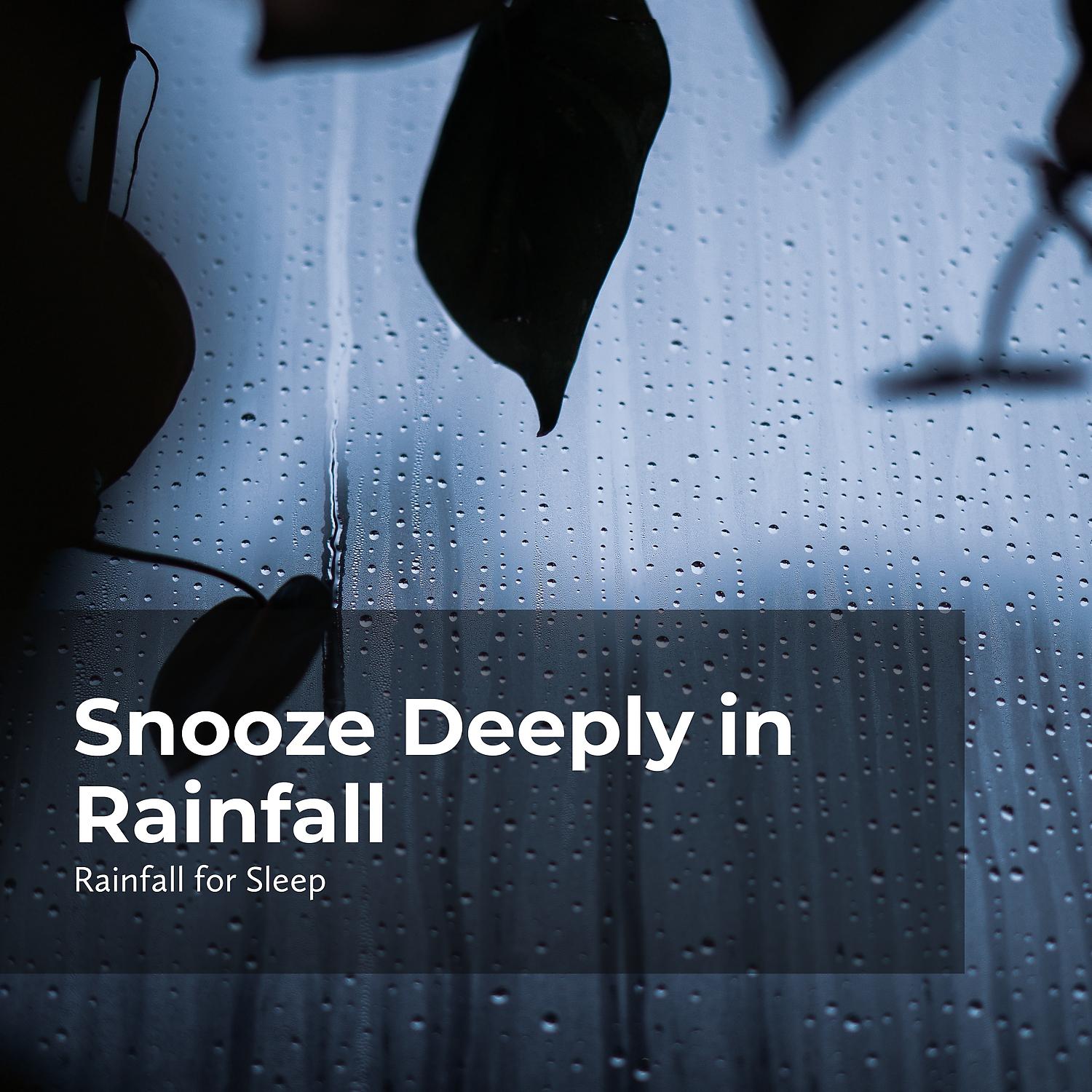Постер альбома Snooze Deeply in Rainfall