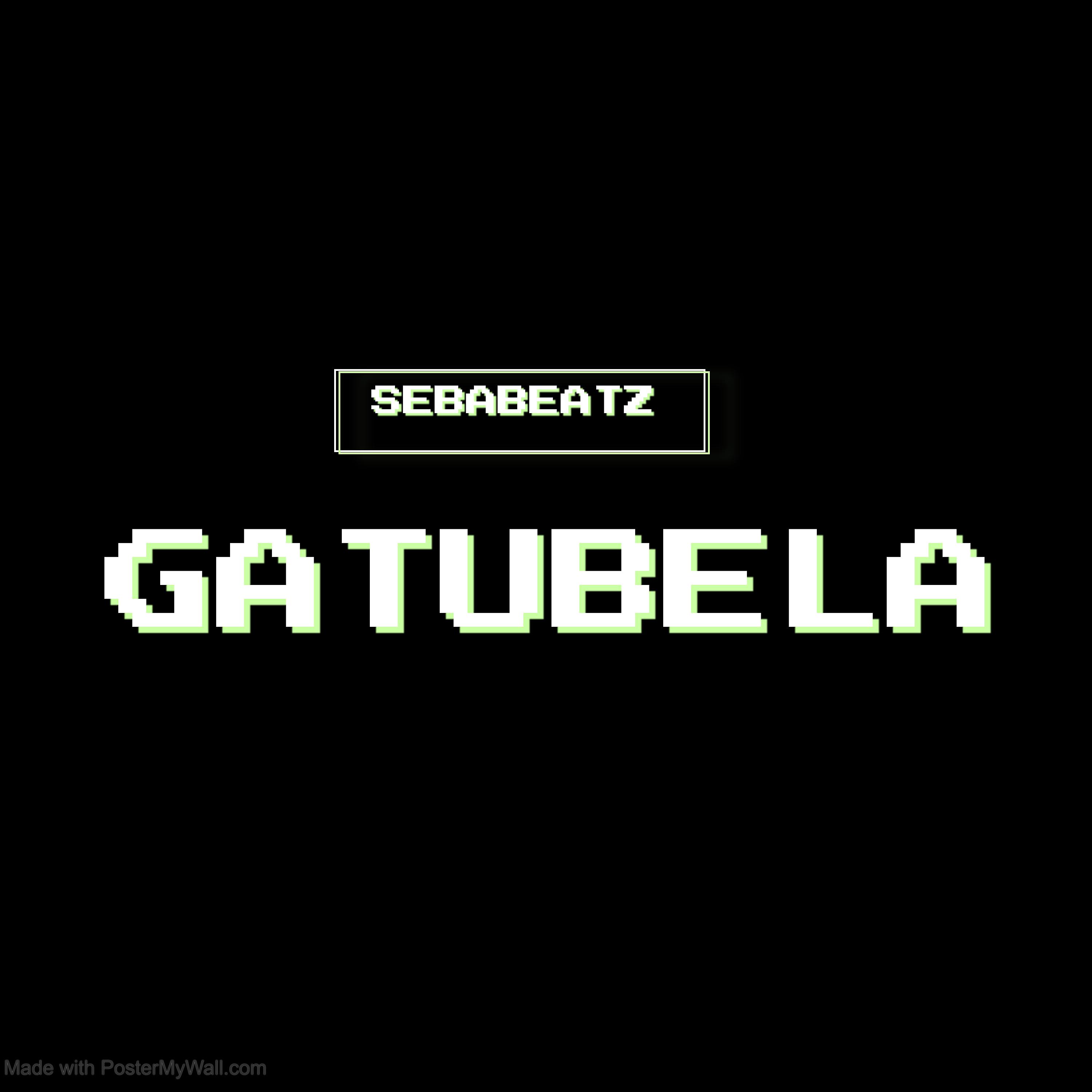 Постер альбома Gatubela