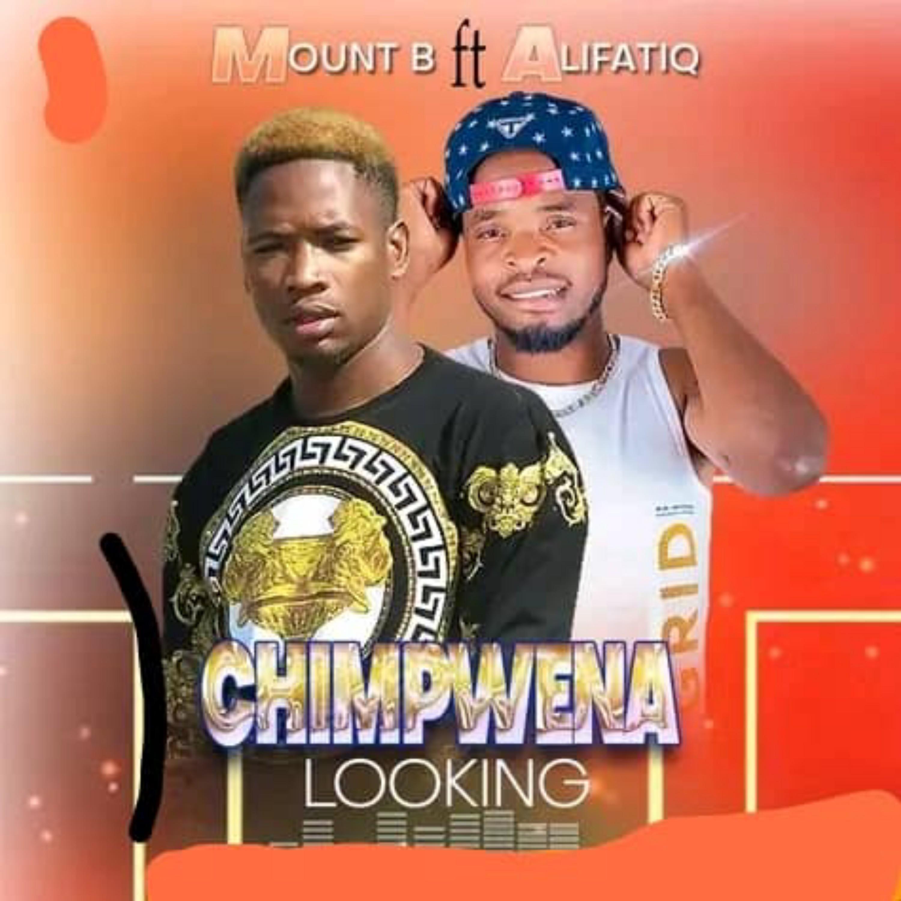 Постер альбома Chimpwena Looking (feat. AlifatiQ)