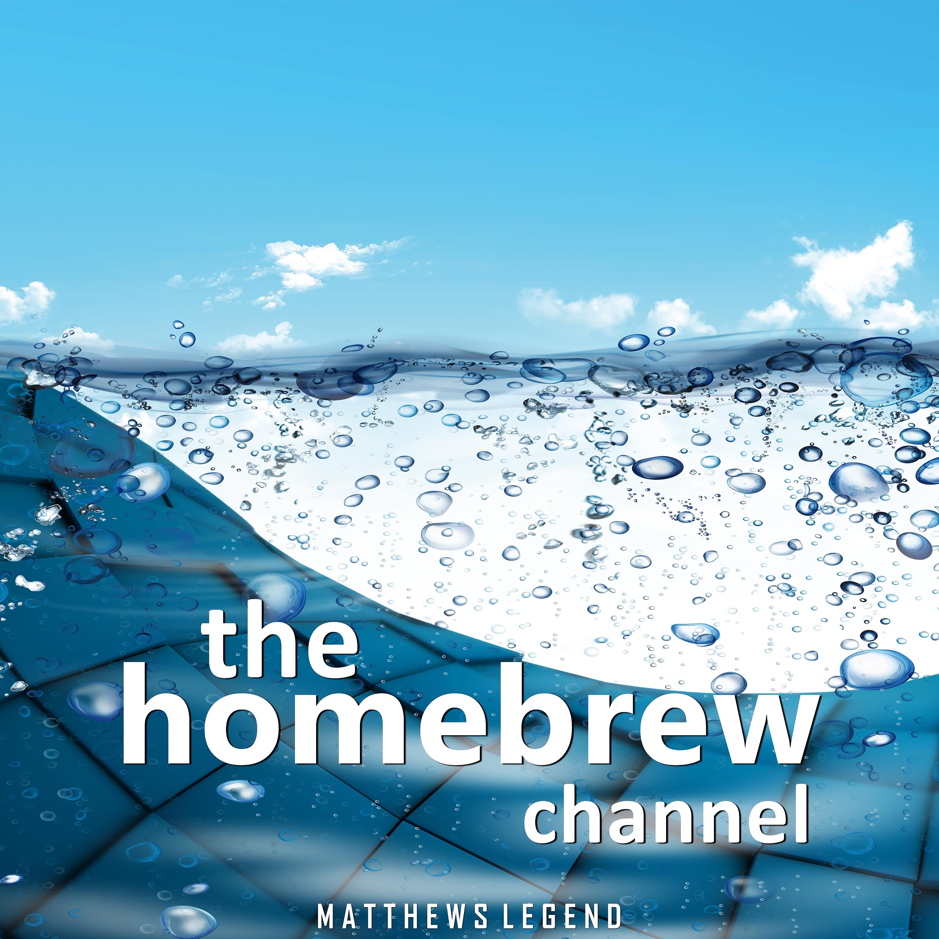 Постер альбома The Homebrew Channel