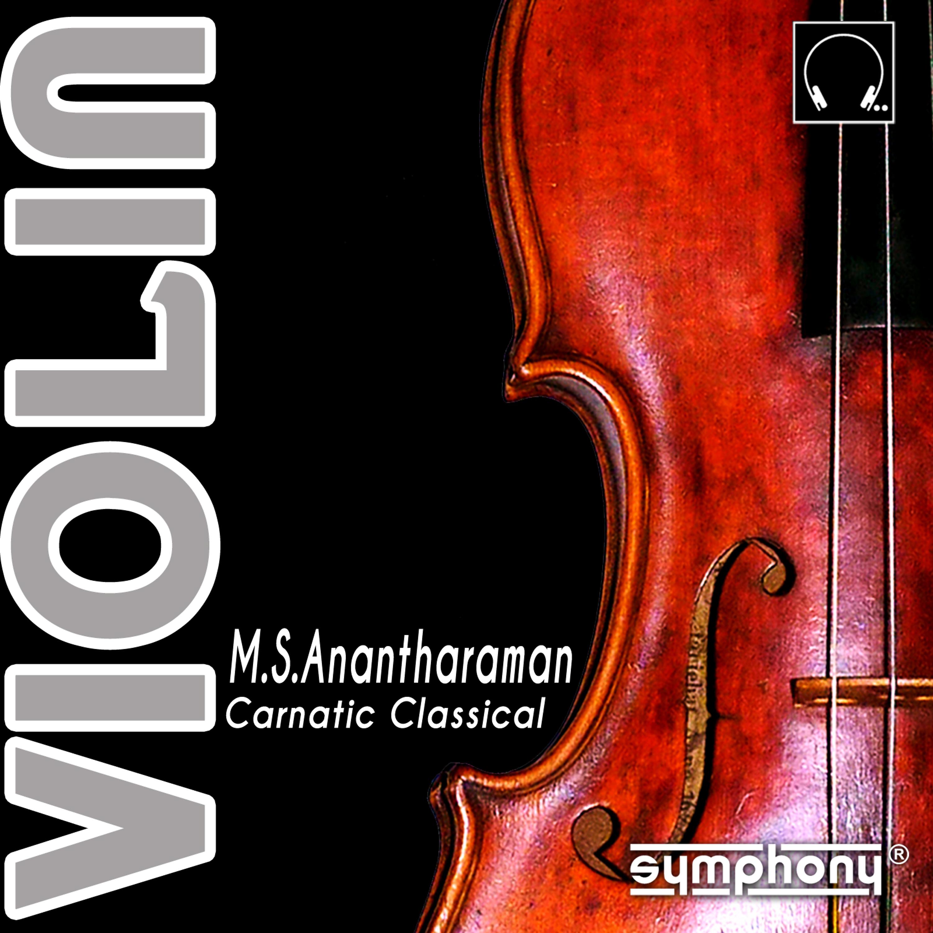 Постер альбома Violin Carnatic Classical