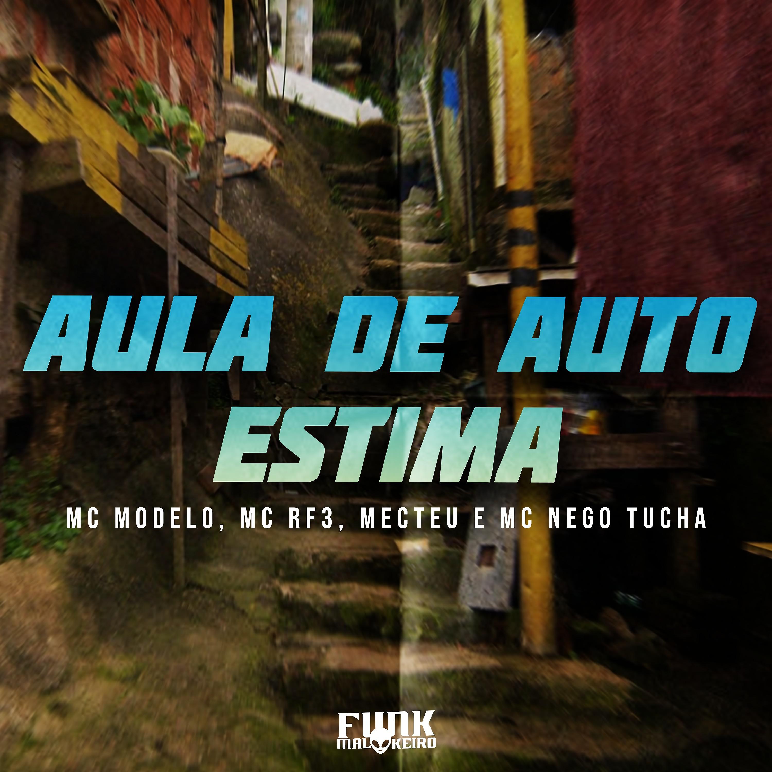 Постер альбома Aula de Auto Estima