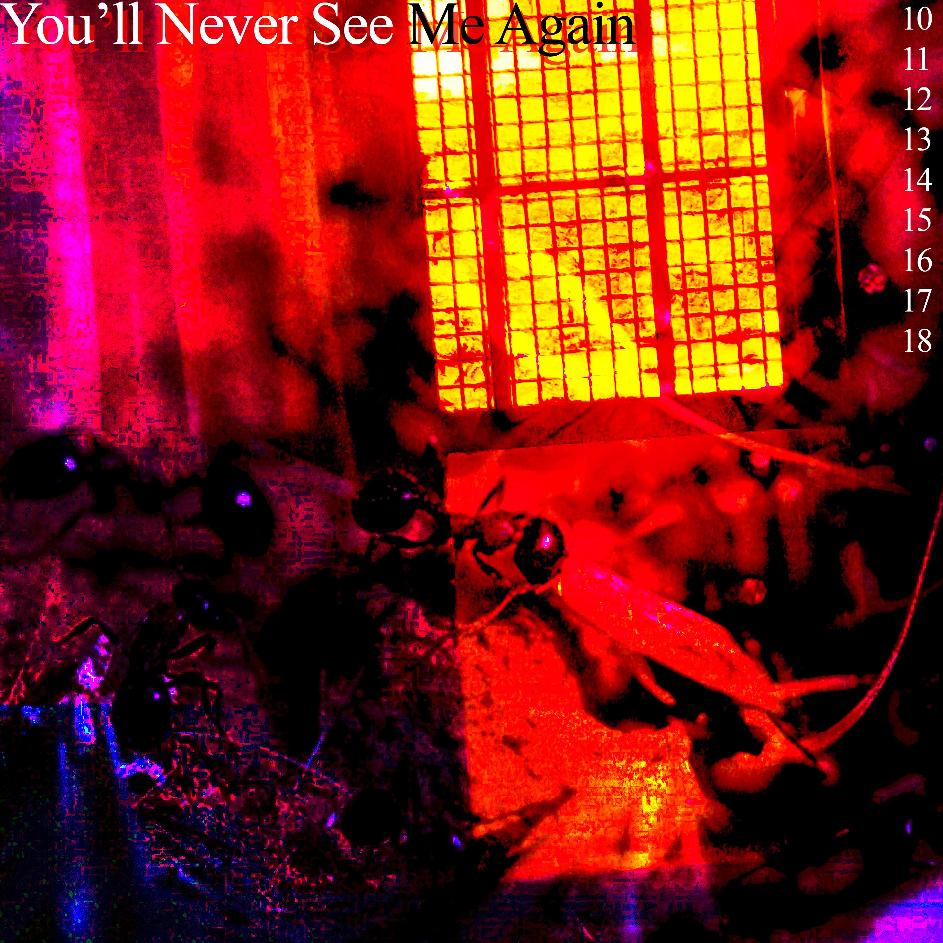 Постер альбома You'll Never See Me Again