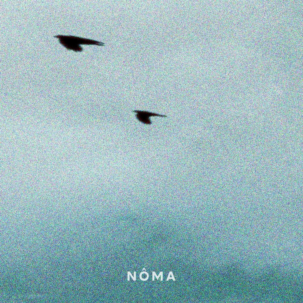 Постер альбома Nôma
