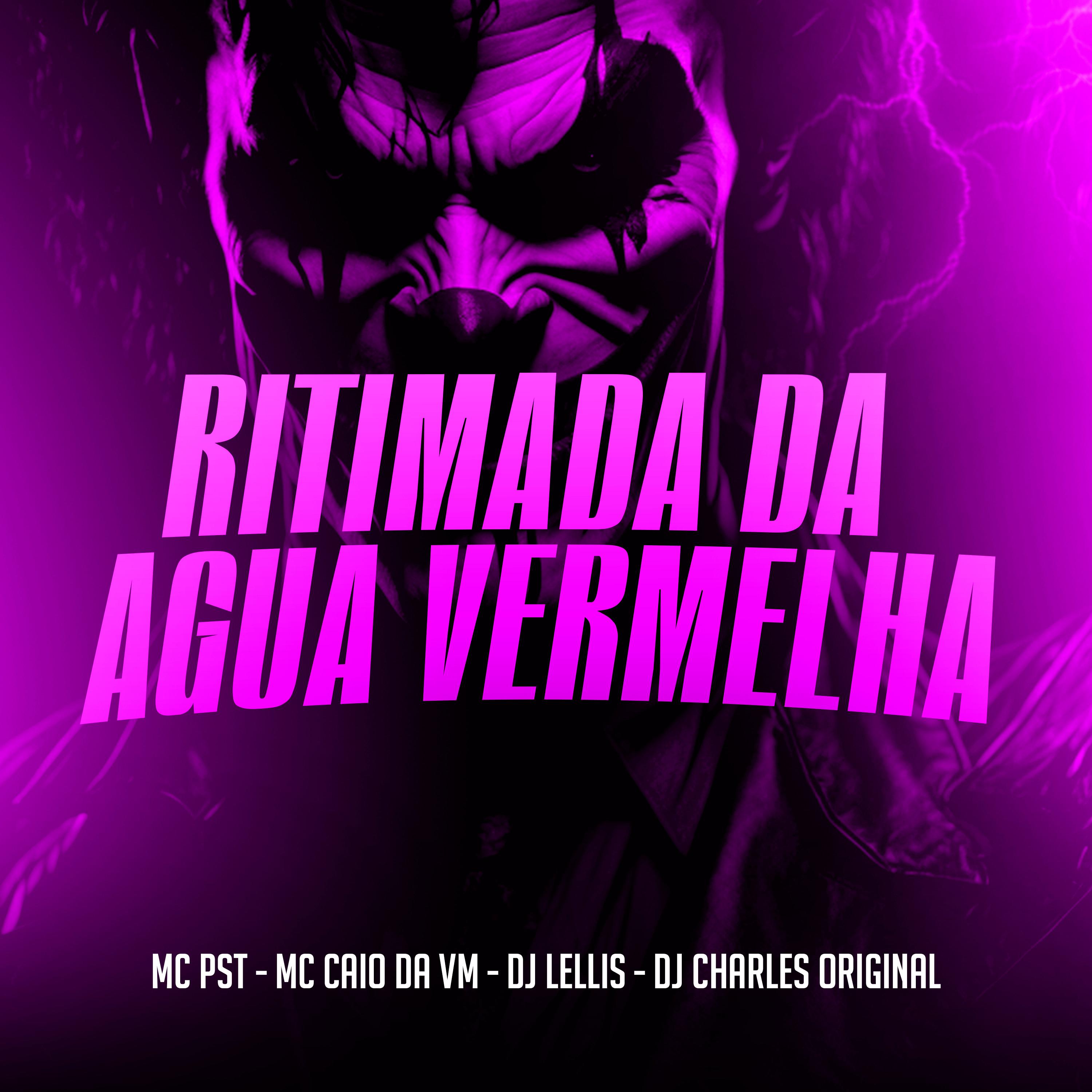 Постер альбома Ritimada da Agua Vermelha