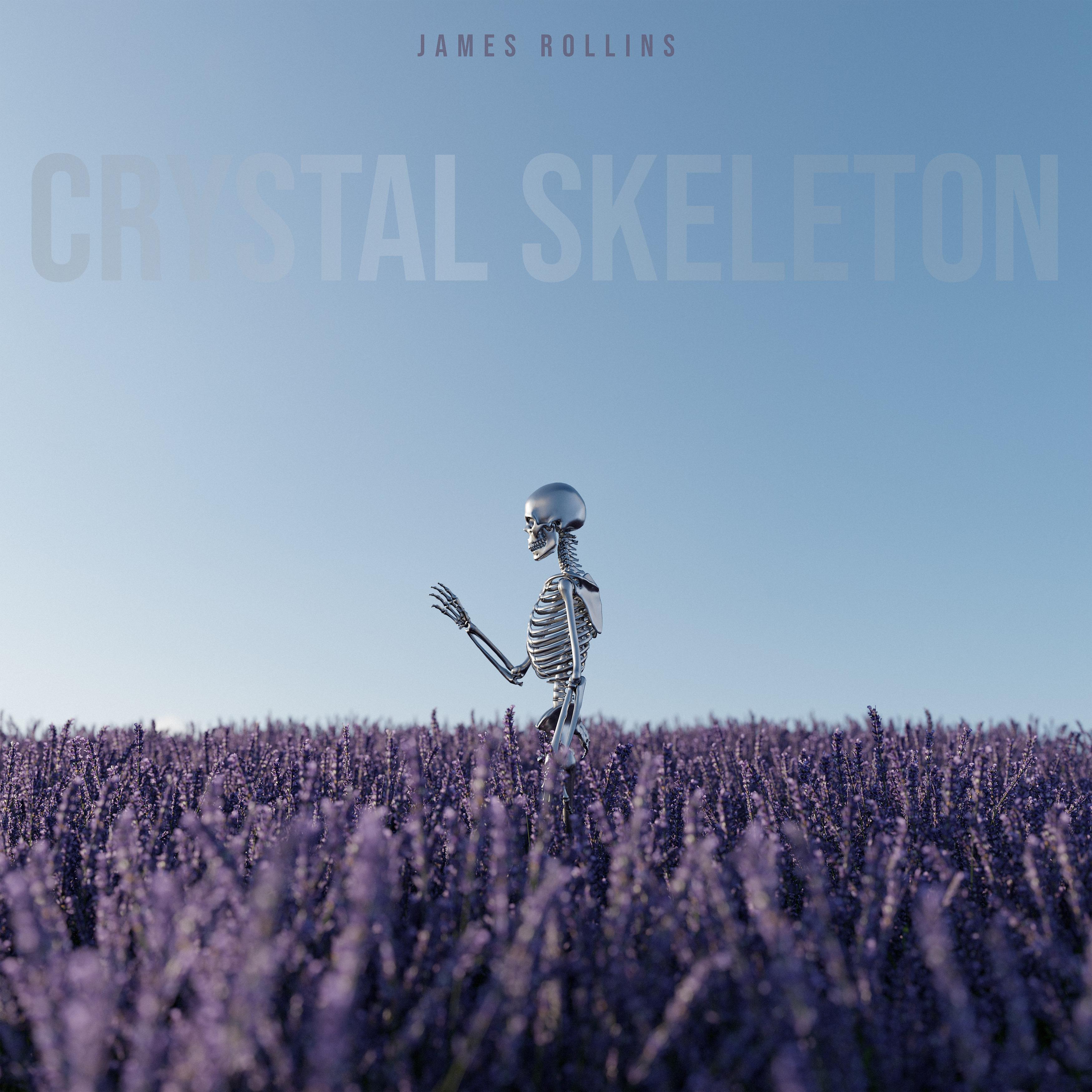 Постер альбома Crystal Skeleton
