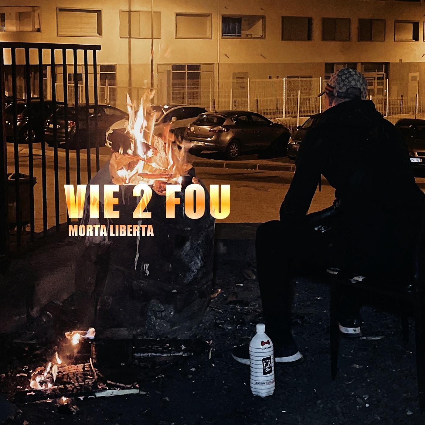 Постер альбома Vie 2 fou
